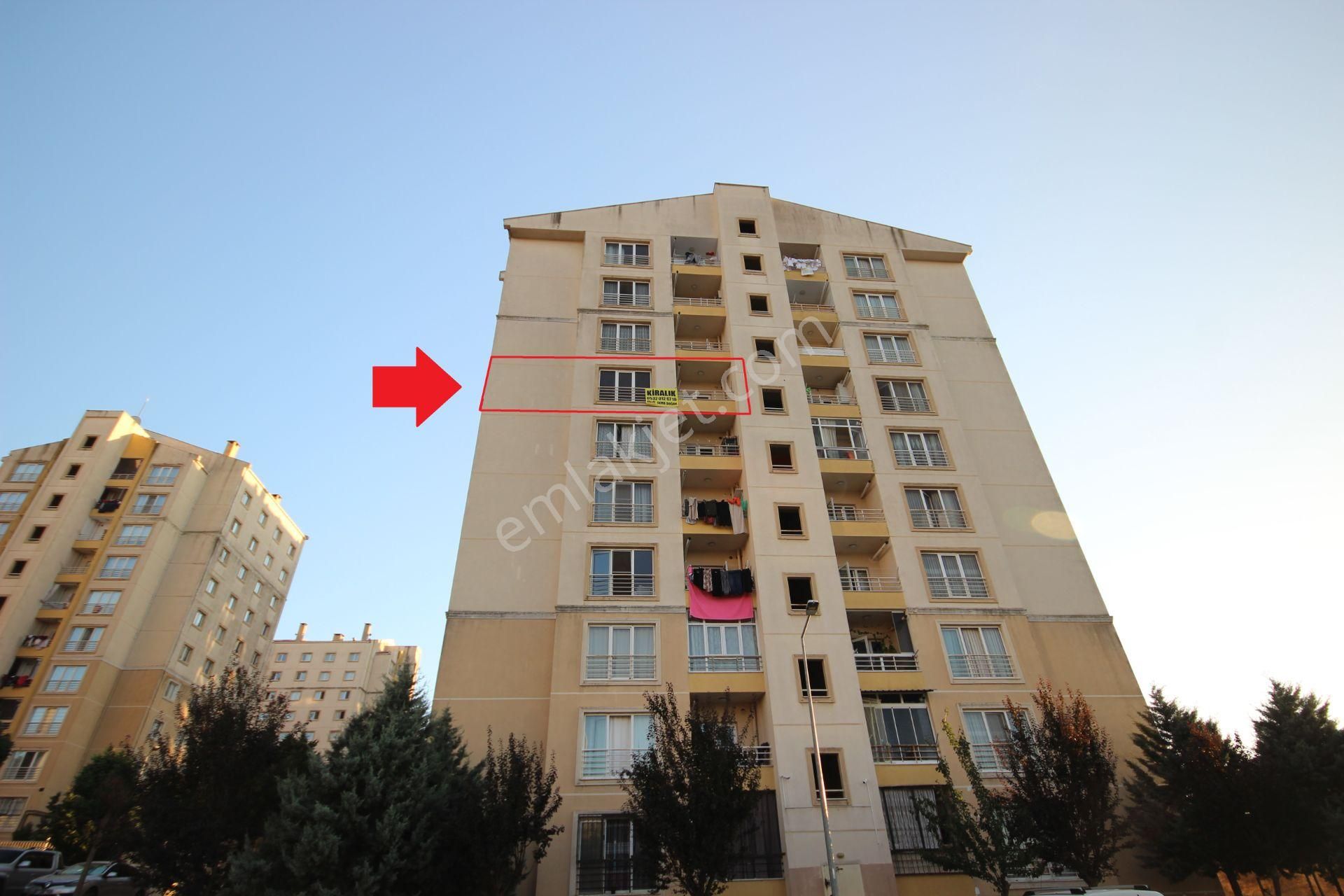 Kirazpınar Toki Kiralık 3 + 1 Arakat Daire