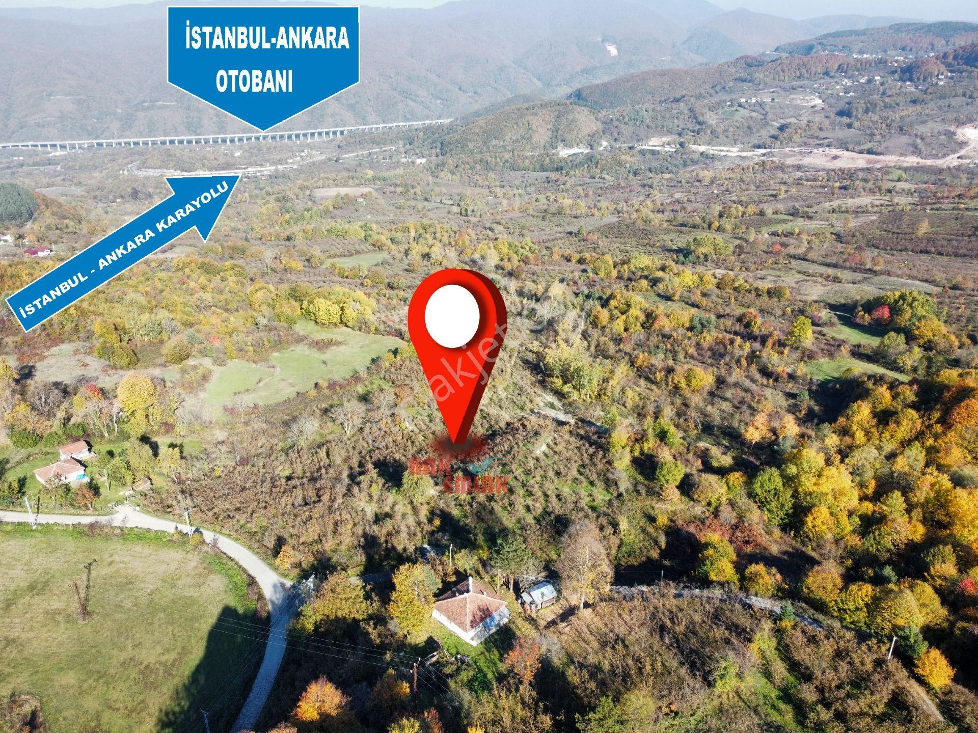 Kaynaşlı İlçesi-muratbey Köyü Büyük Fırsat Satılık 23.326² Tarla