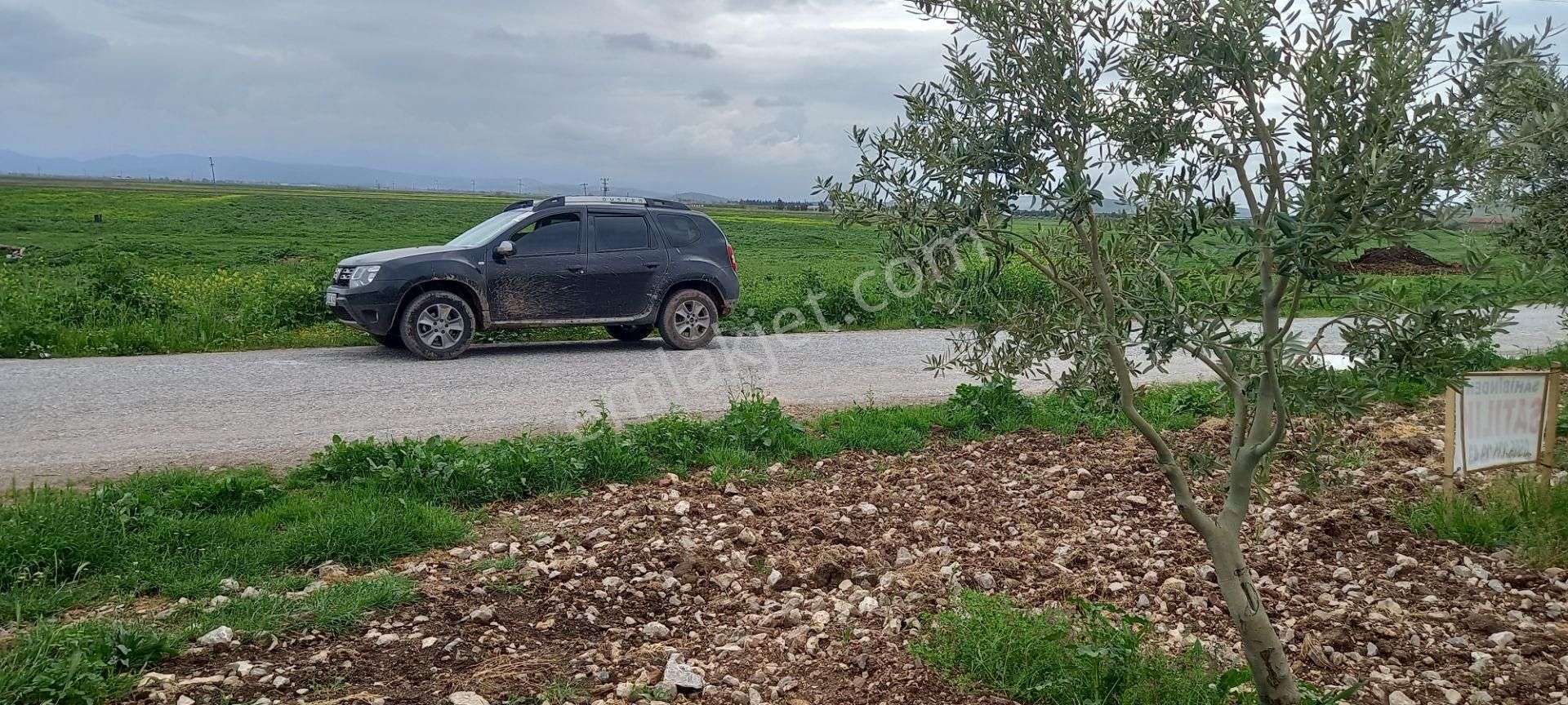Yeni Yapılacak Akhisar Organize Sanayiye Yakın Zeytinlik - Görsel 11