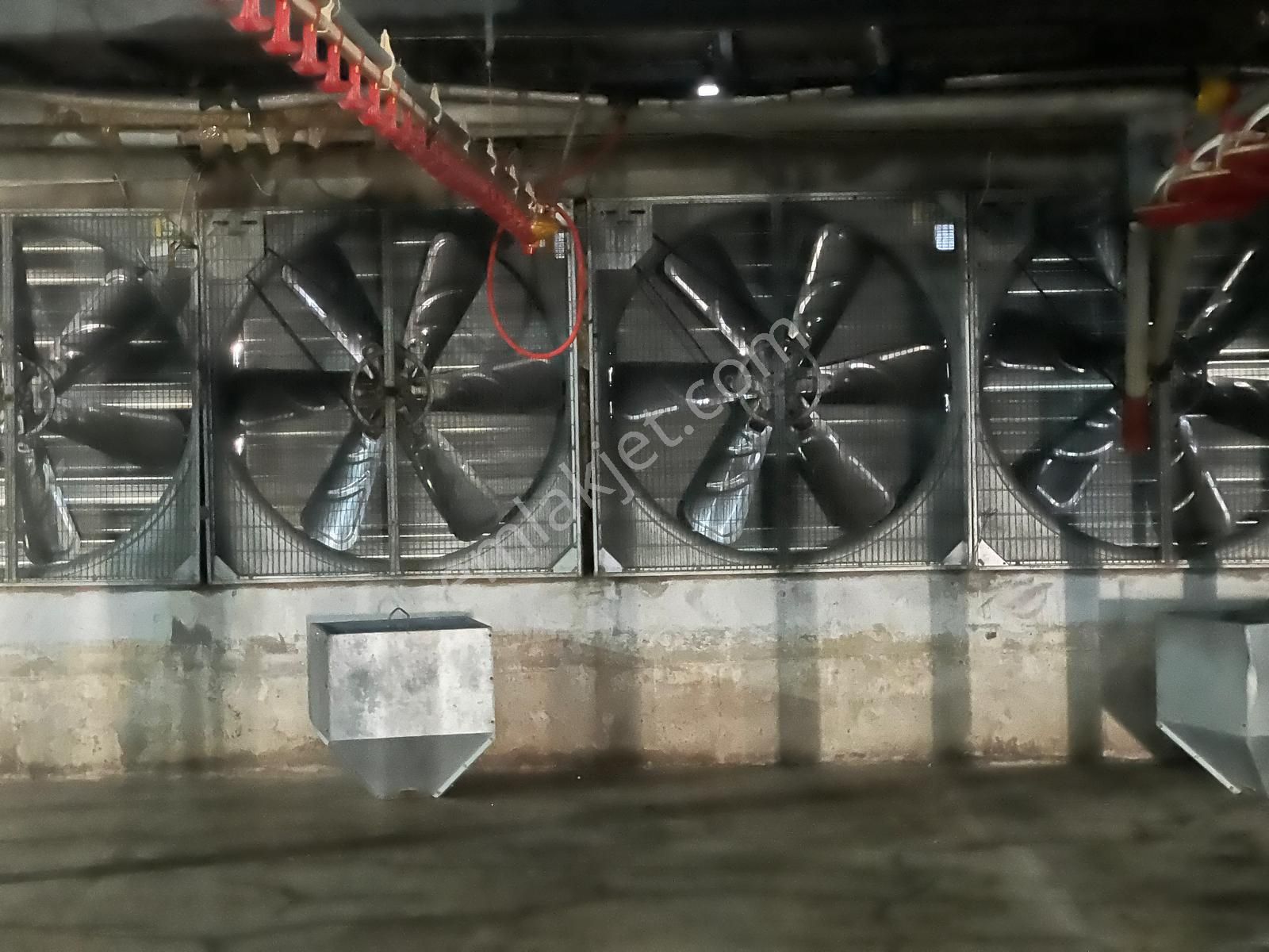 Remax Hür Ülkü Çakar'dan Sakarya Taraklı Harkköy'de Satılık Ruhsatlı Ve Aktif Tavuk Çiftliği - Görsel 9