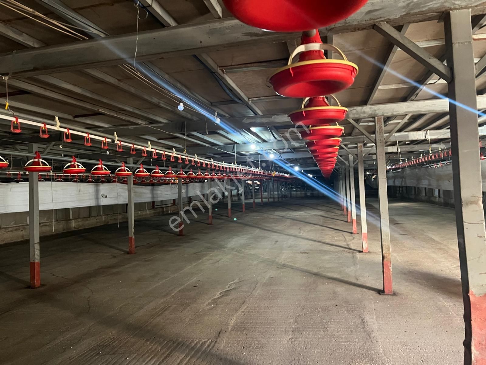 Remax Hür Ülkü Çakar'dan Sakarya Taraklı Harkköy'de Satılık Ruhsatlı Ve Aktif Tavuk Çiftliği - Görsel 6