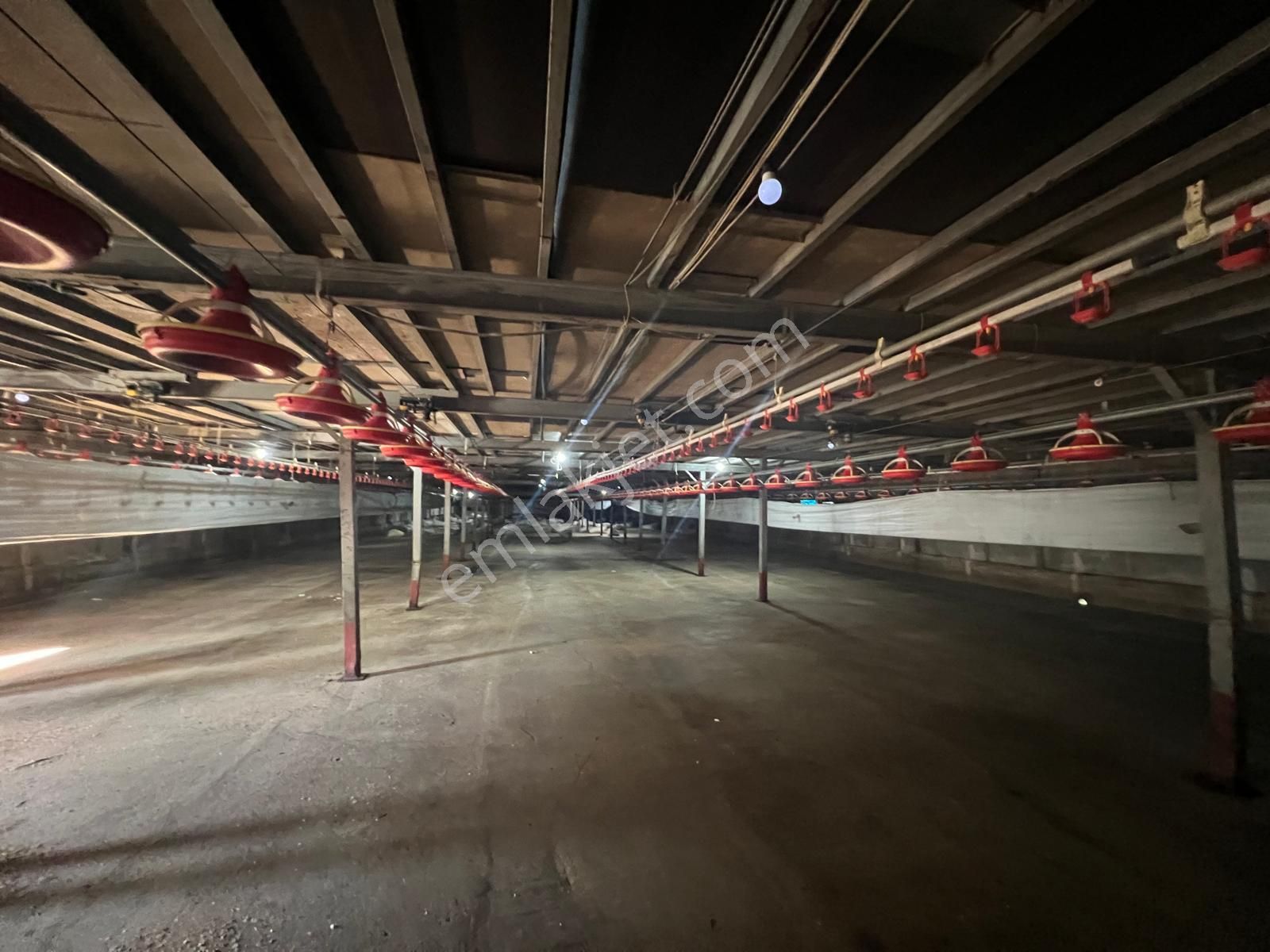 Remax Hür Ülkü Çakar'dan Sakarya Taraklı Harkköy'de Satılık Ruhsatlı Ve Aktif Tavuk Çiftliği - Görsel 7