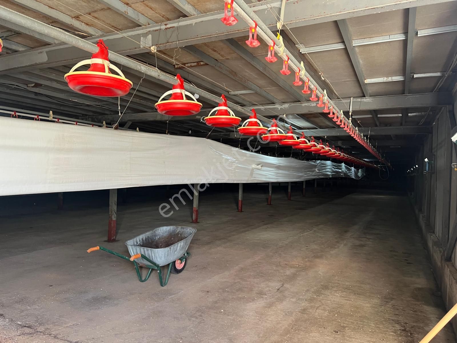 Remax Hür Ülkü Çakar'dan Sakarya Taraklı Harkköy'de Satılık Ruhsatlı Ve Aktif Tavuk Çiftliği - Görsel 5