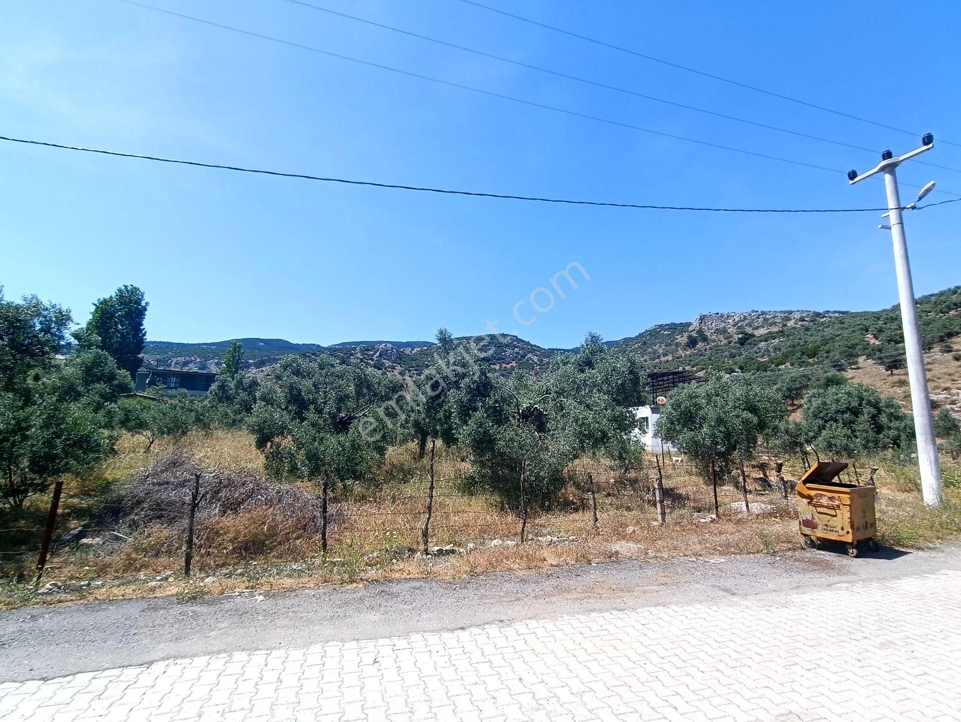 Söke, Atburgazı’nda Satılık 570 M² İmarlı Arsa…