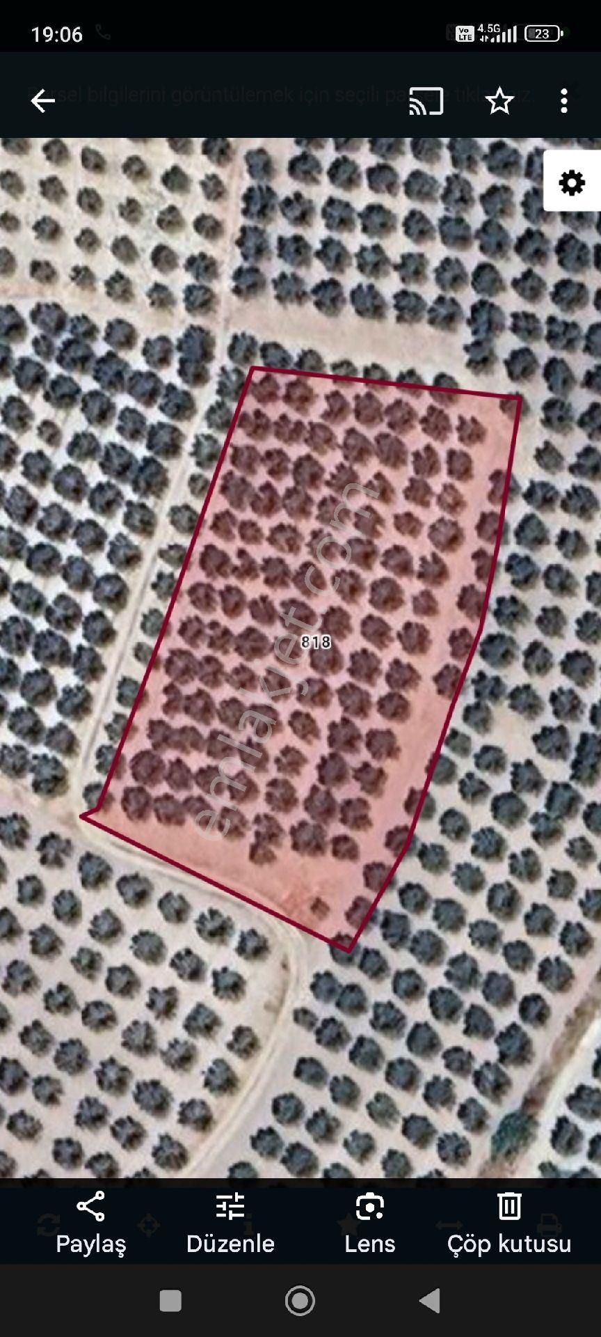 Satılık Zeytin Bahçesi
