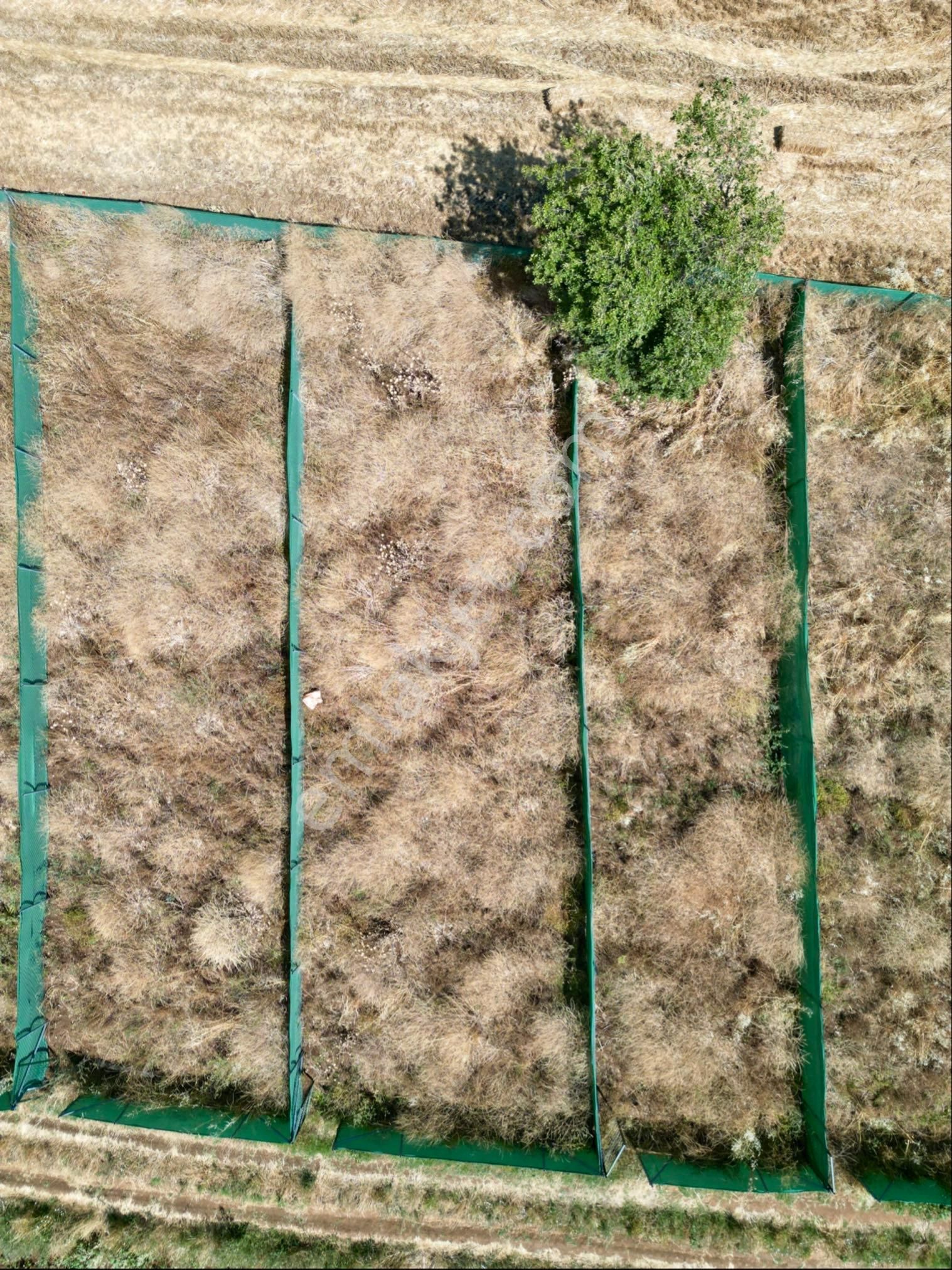 Sahibinden Satılık Resmi Yola Cephe Hobi Bahçesi - Görsel 6