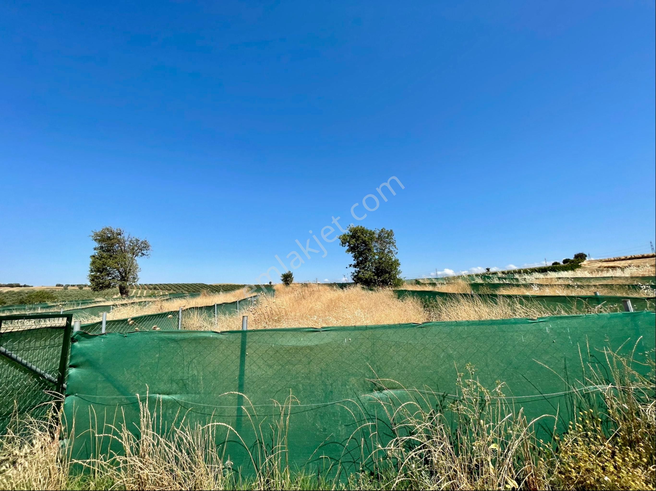 Sahibinden Satılık Resmi Yola Cephe Hobi Bahçesi - Görsel 3