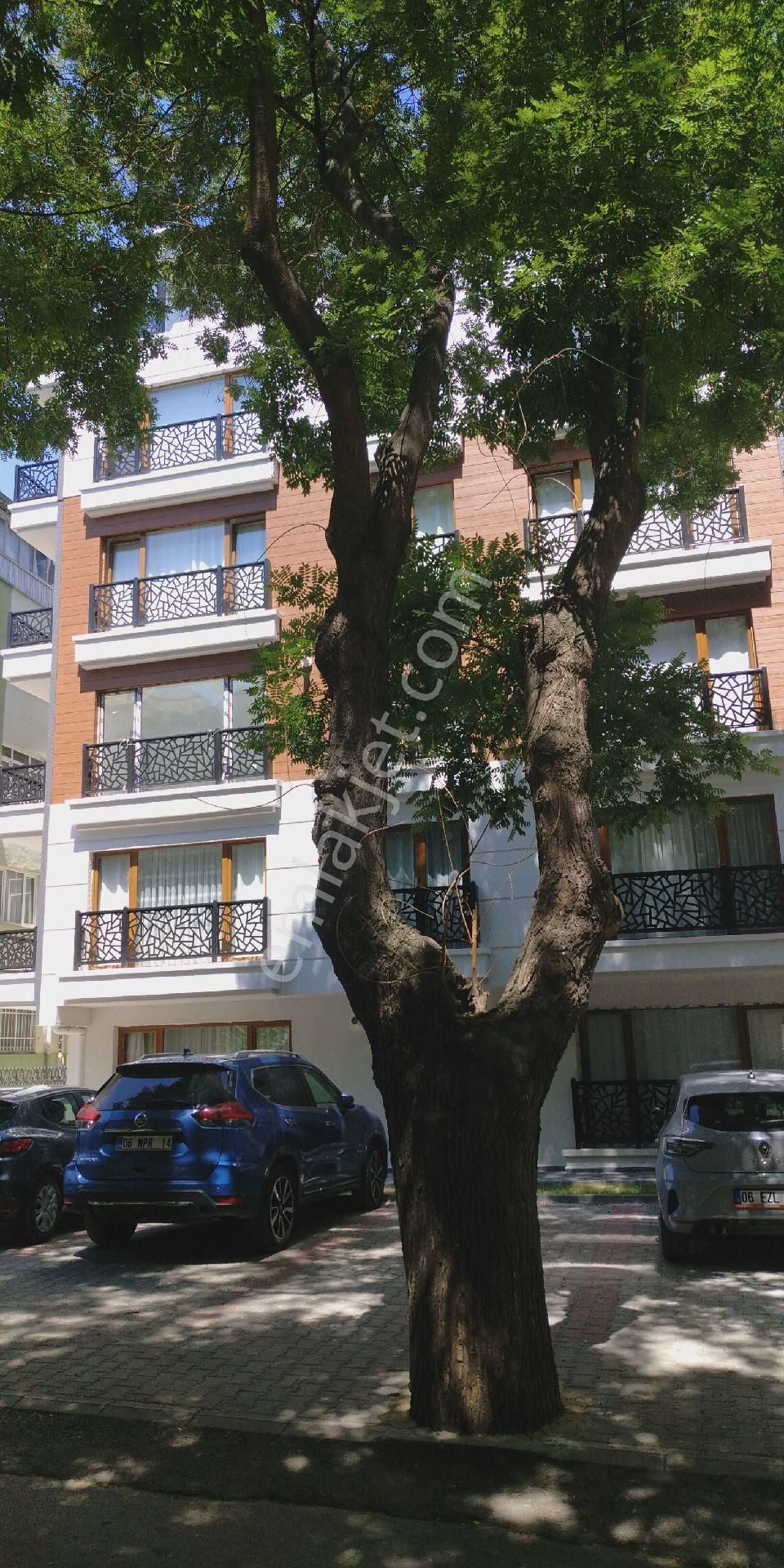Ankara Anittepedeki Geniş Sokağacepheli 3+1 Büyüklüğünde Satılık Geniş 2+1