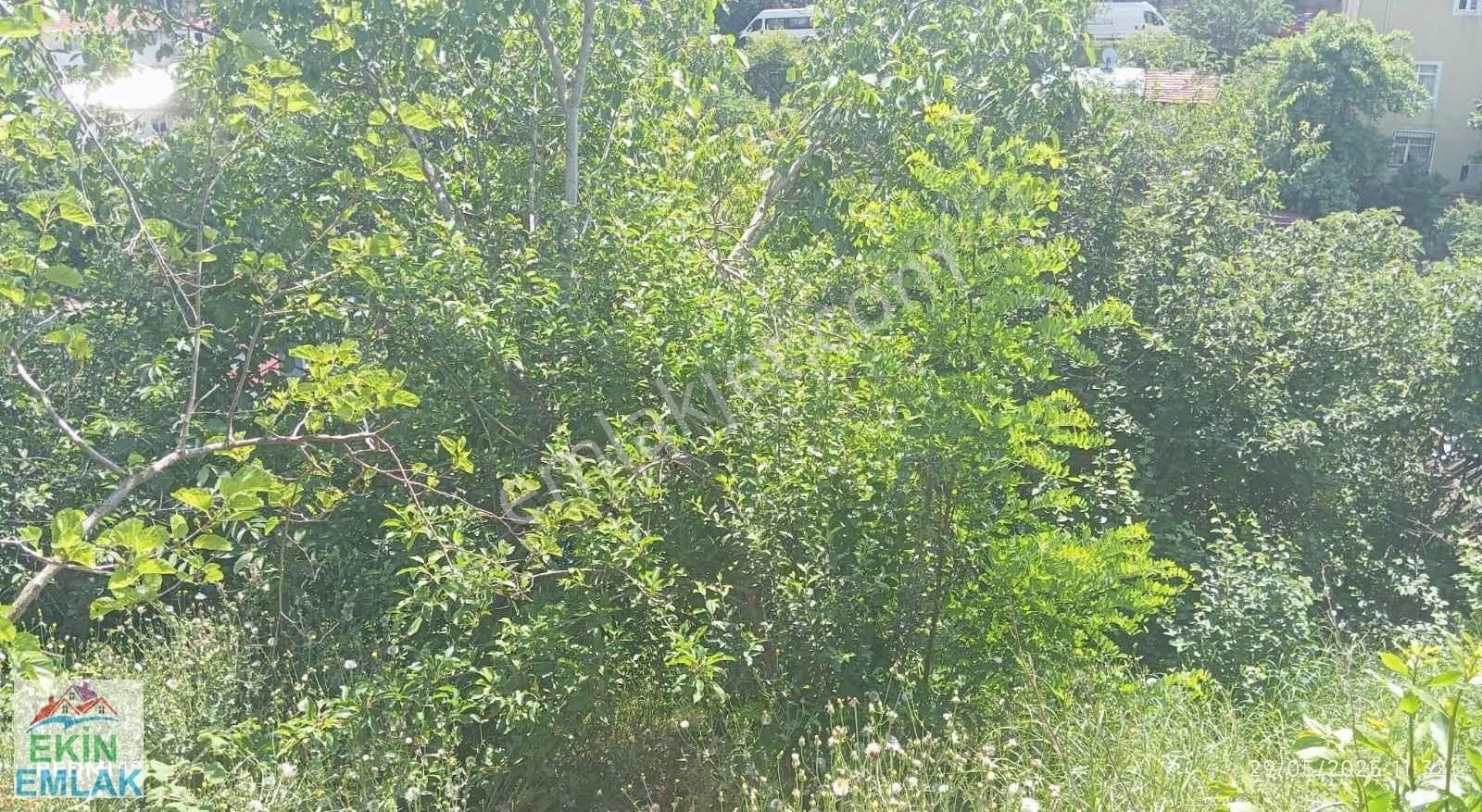 Ekin'den Beykoz Rüzgarlıbahçede Yatırımlık 400m2 Arsa..