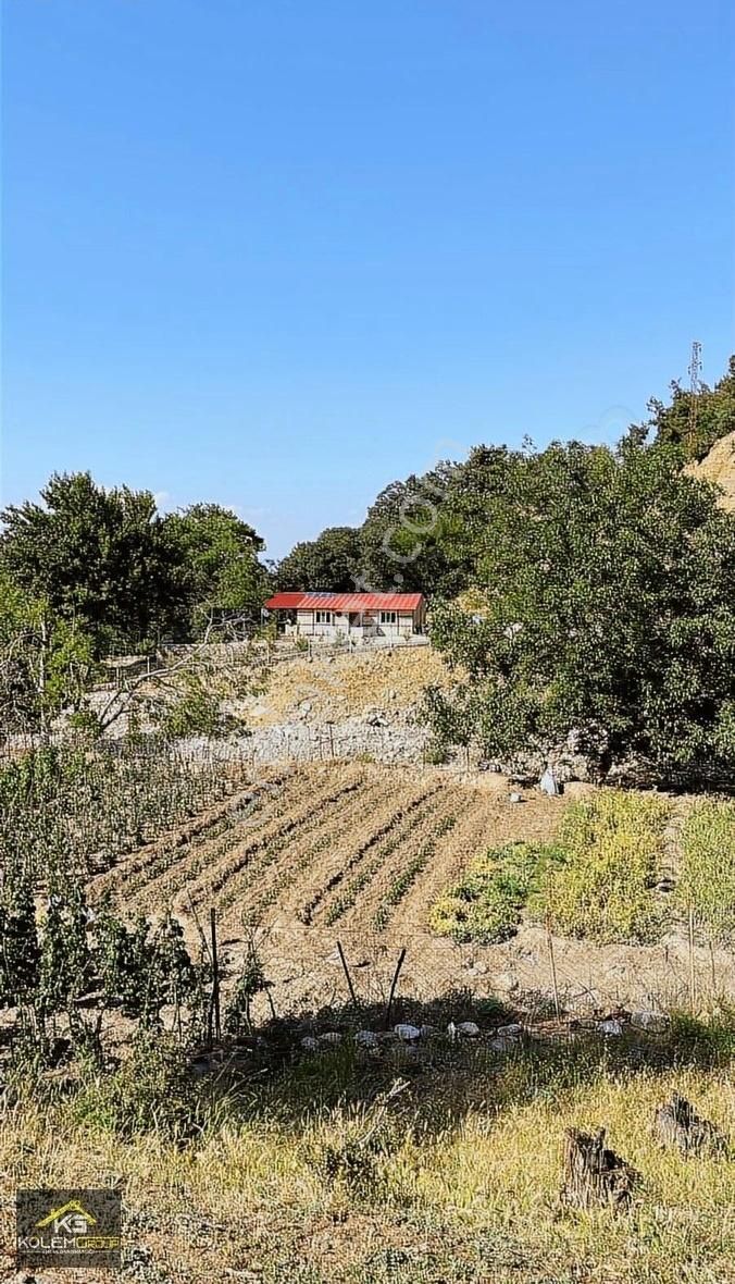 Kölem Group'tan Yeşilyayla Çay Kenarı 4.313m2 Hobi Bahçesi