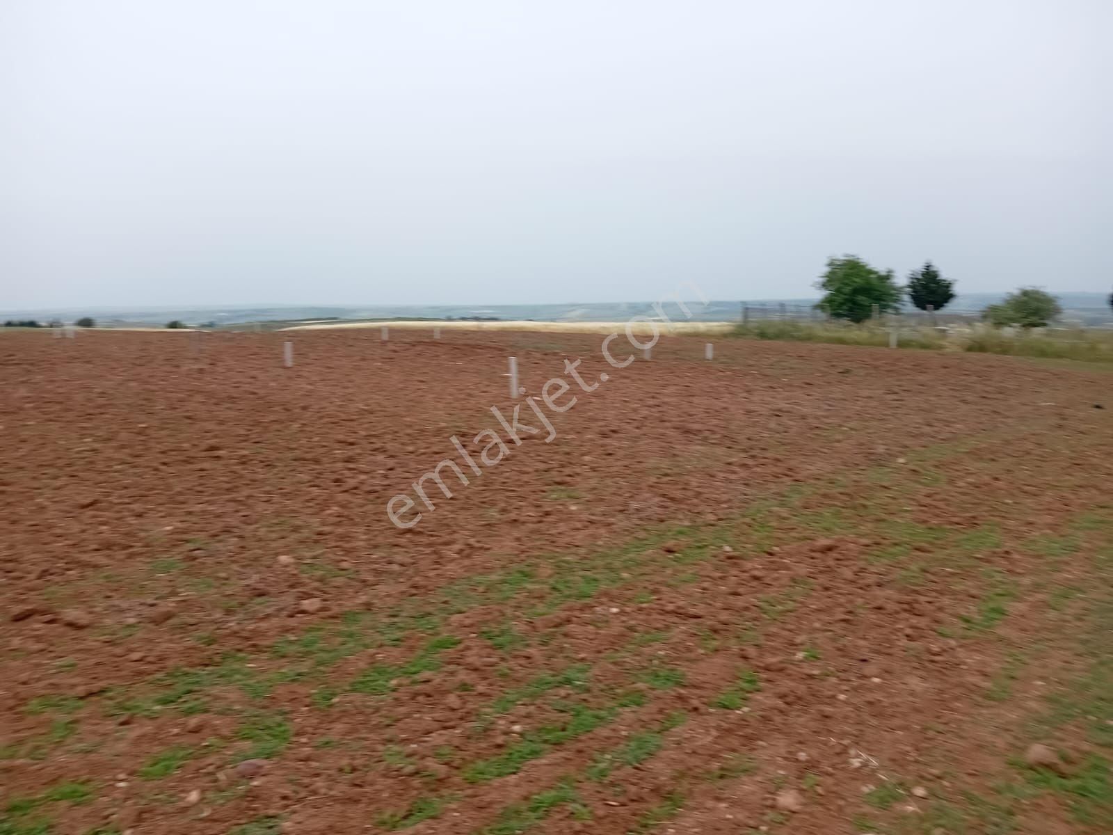 İstanbul Silivri Değirmenköy Sahibinden Satılık Arsa - Görsel 15