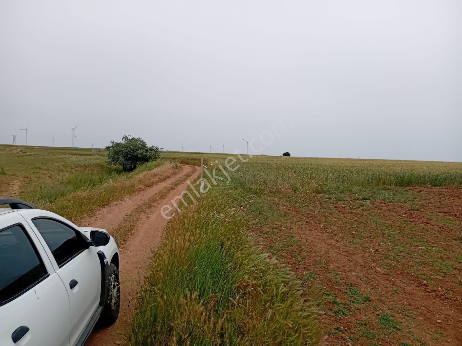 İstanbul Silivri Değirmenköy Sahibinden Satılık Arsa - Görsel 9