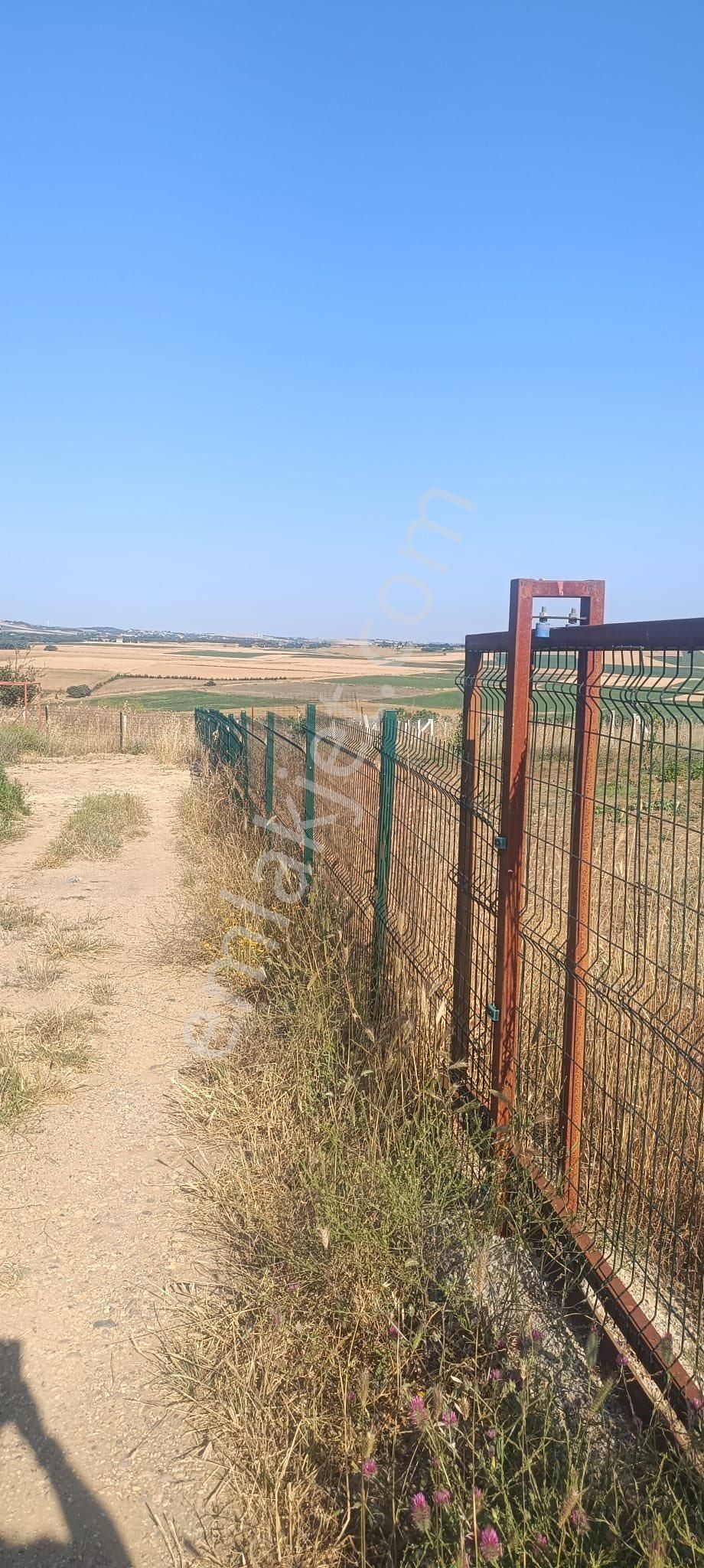 İstanbul Silivri Değirmenköy Sahibinden Satılık 250m2 Arsa - Görsel 17