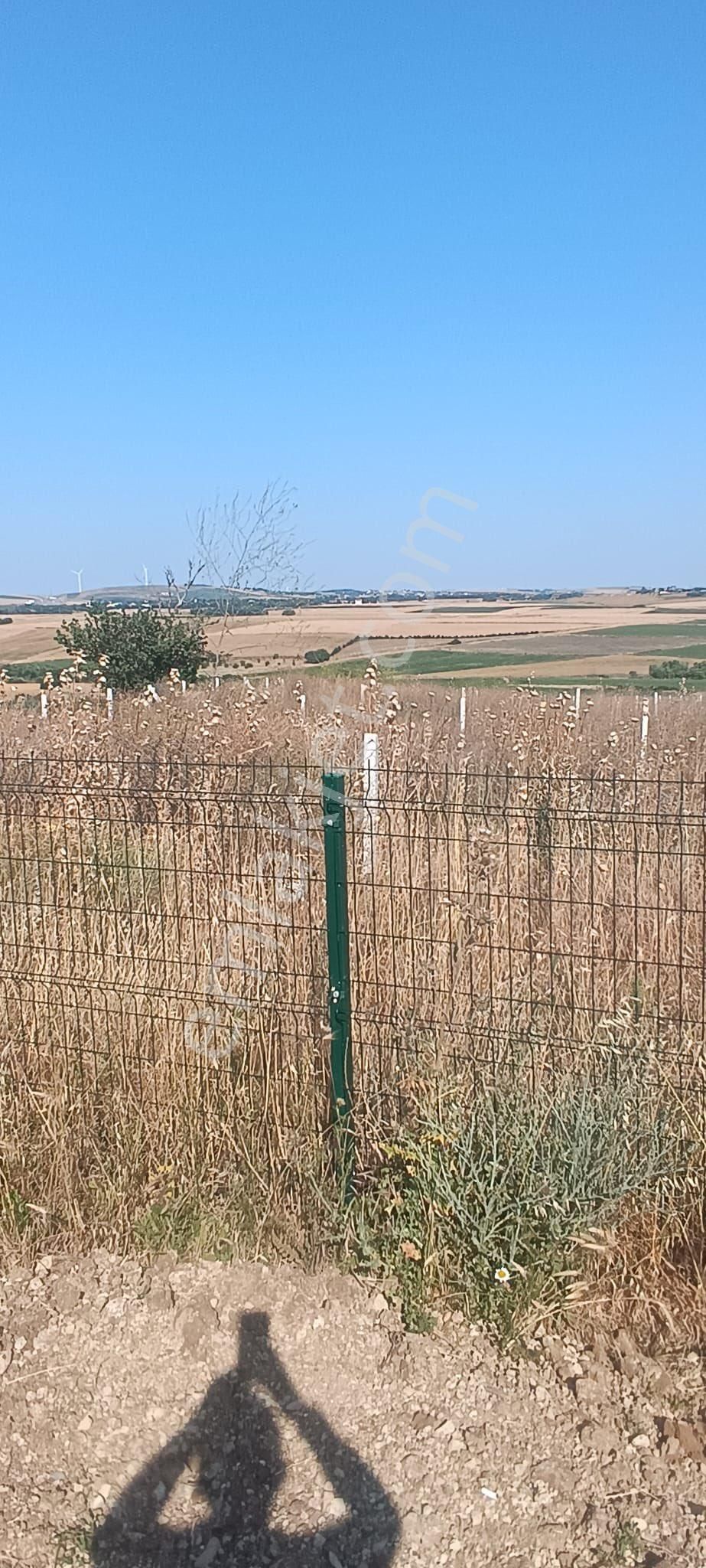 İstanbul Silivri Değirmenköy Sahibinden Satılık 250m2 Arsa - Görsel 22