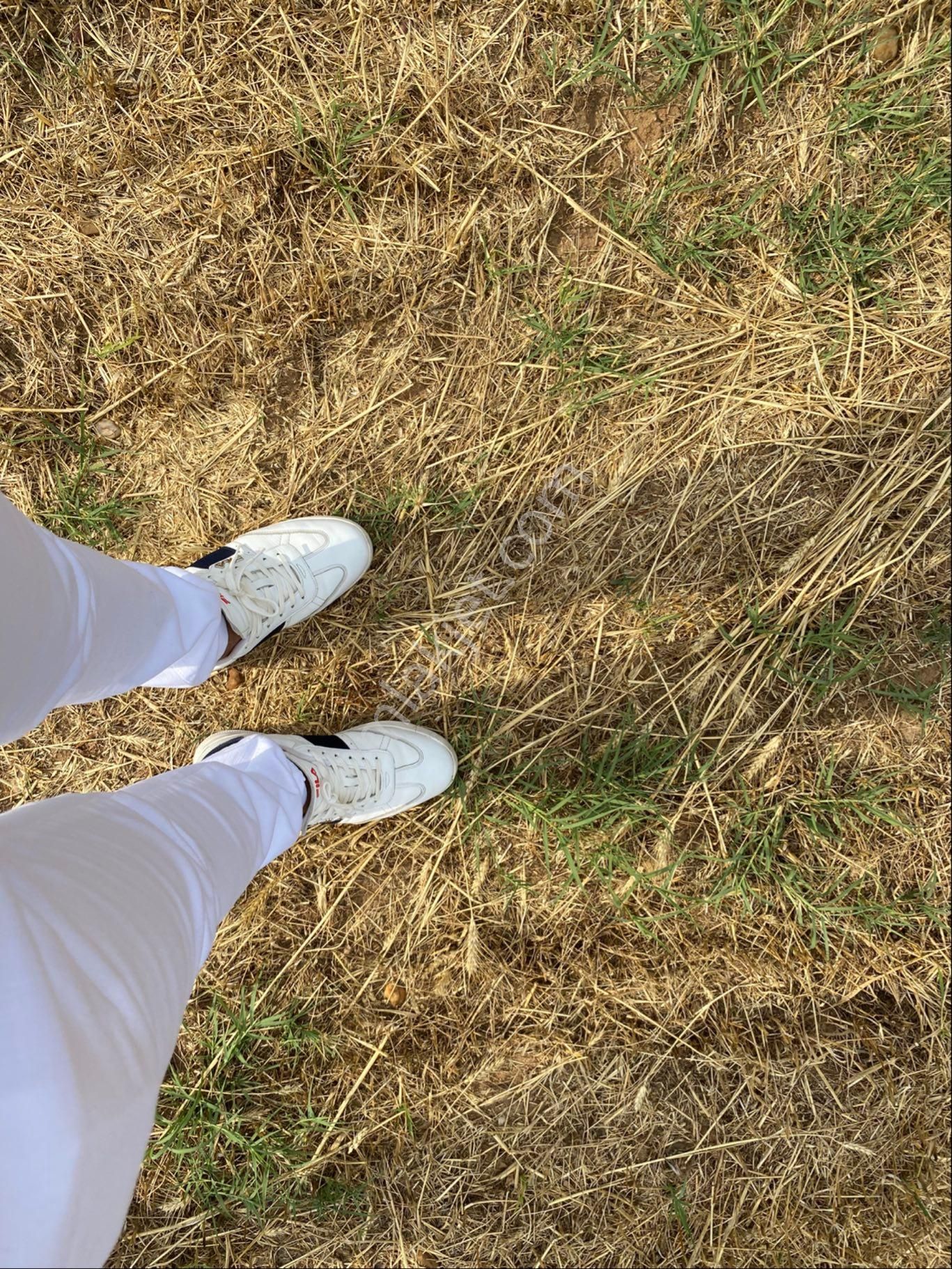 İstanbul Silivri Değirmenköy Sahibinden Satılık 250m2 Arsa - Görsel 4