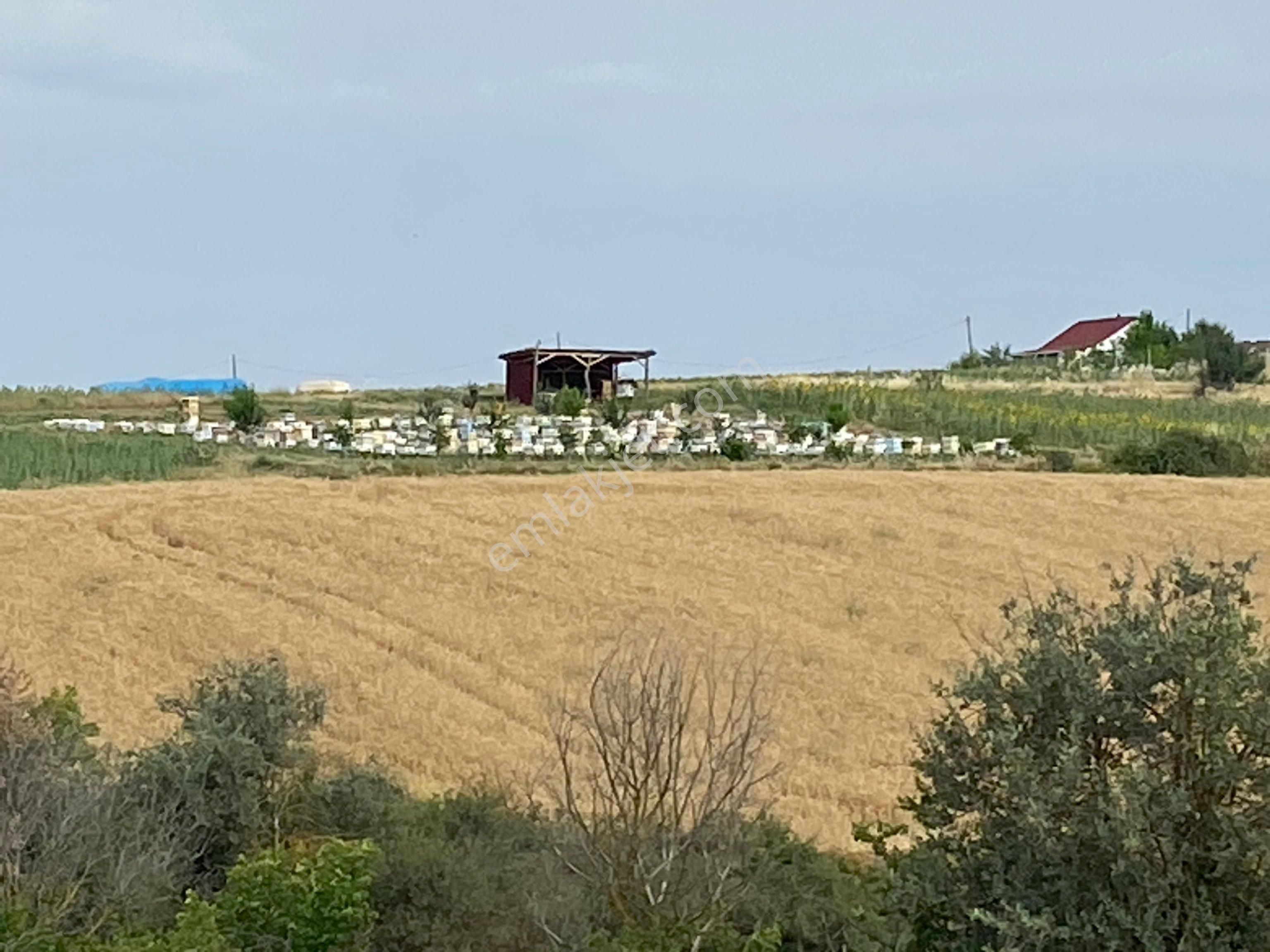 İstanbul Silivri Değirmenköy Sahibinden Satılık 250m2 Arsa - Görsel 7