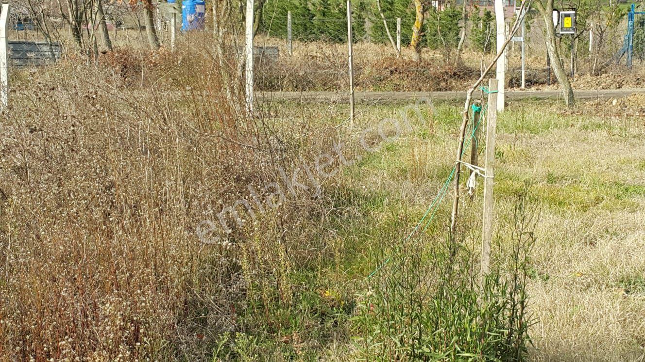 Sahibinden Kısa Sureliğine Ana Cadde Cepheli Kupon Arazi - Görsel 16