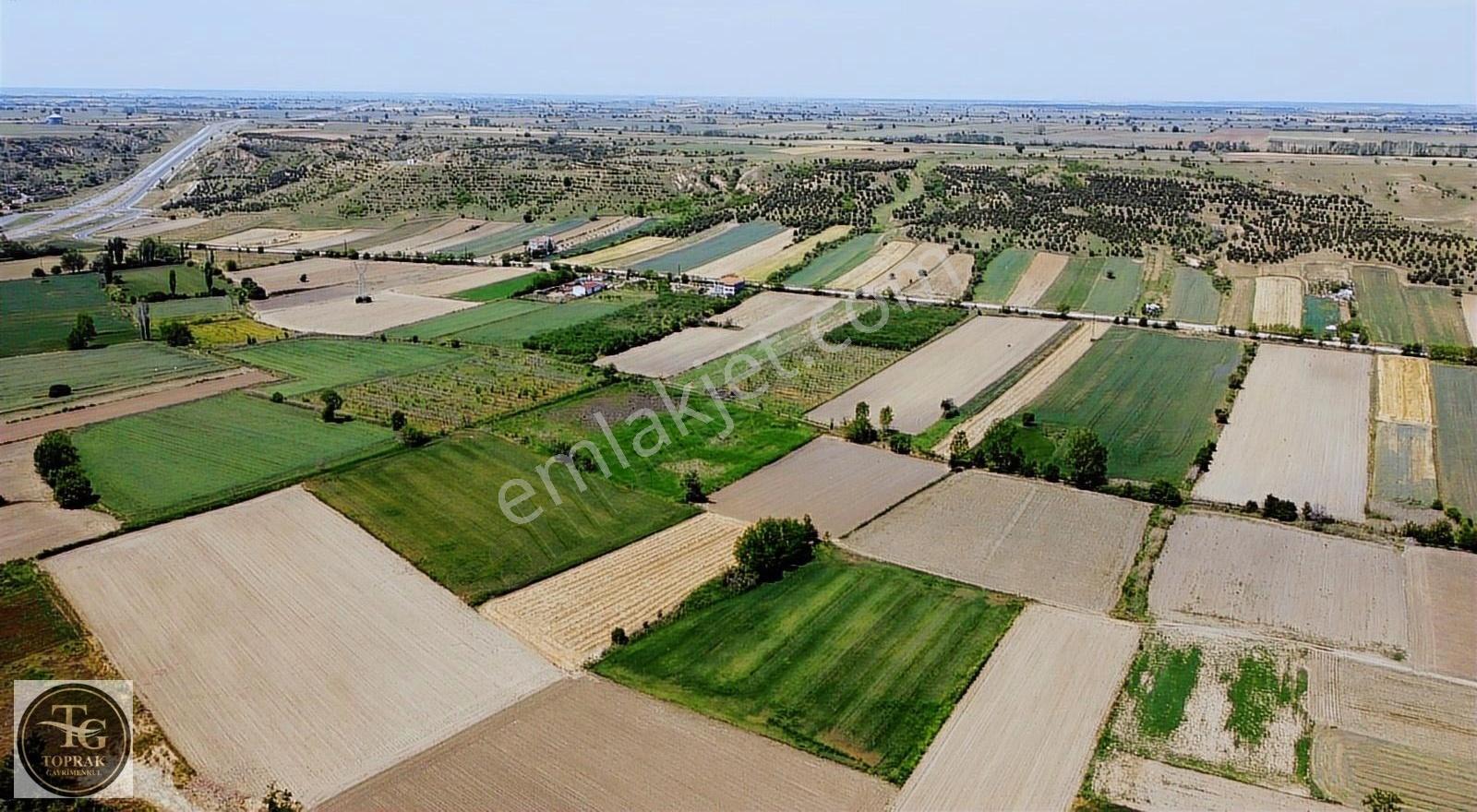 Kırklareli Merkez İnece Belde'sinde Satılık 1,712 M² Tarla - Görsel 3