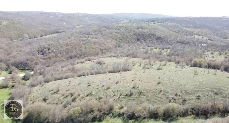 Dereköy Duble Asfaltında " 2.224.54 M² " Yatırımlık "arsa" - Görsel 14