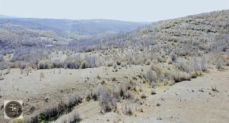 Dereköy Duble Asfaltında " 2.224.54 M² " Yatırımlık "arsa" - Görsel 6