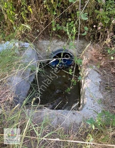 Bozkurt Çambaşı Köyün Dibinde Sulu Tarla