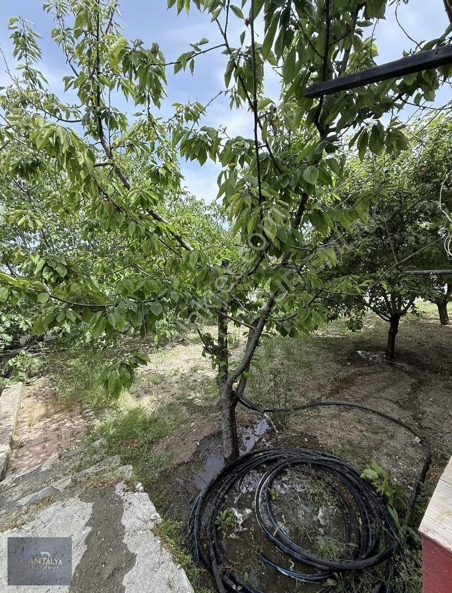 Bademağacında 575m2 Bahçe İçerisinde Doğa Manzaralı Villamız.... - Görsel 6