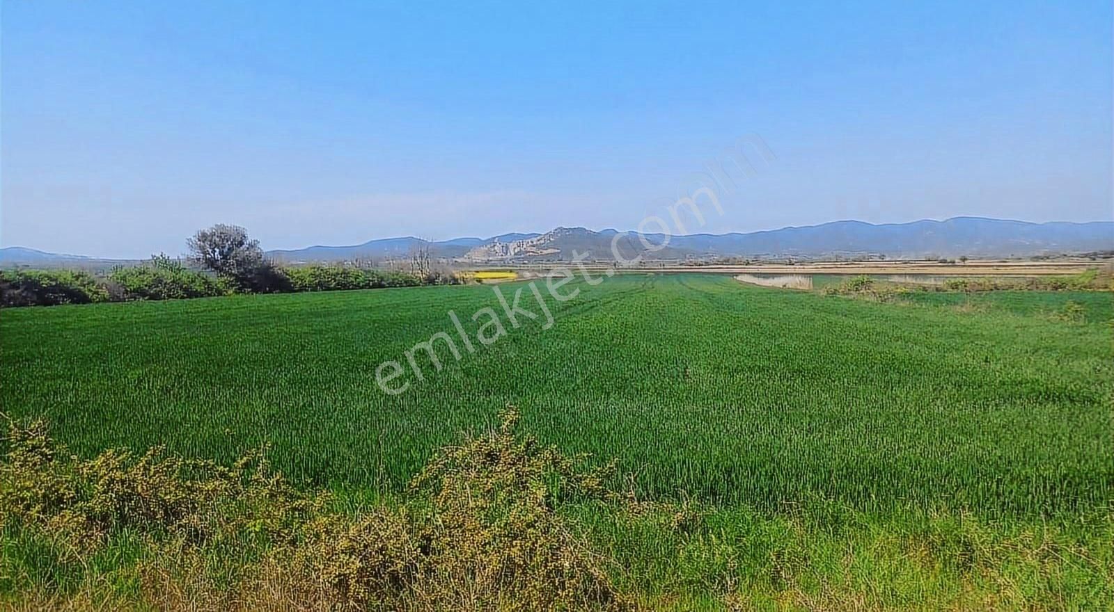 Çanakkale Eceabat Yolağzı Köyünde Yatırımlık Çiftlik Arazisi