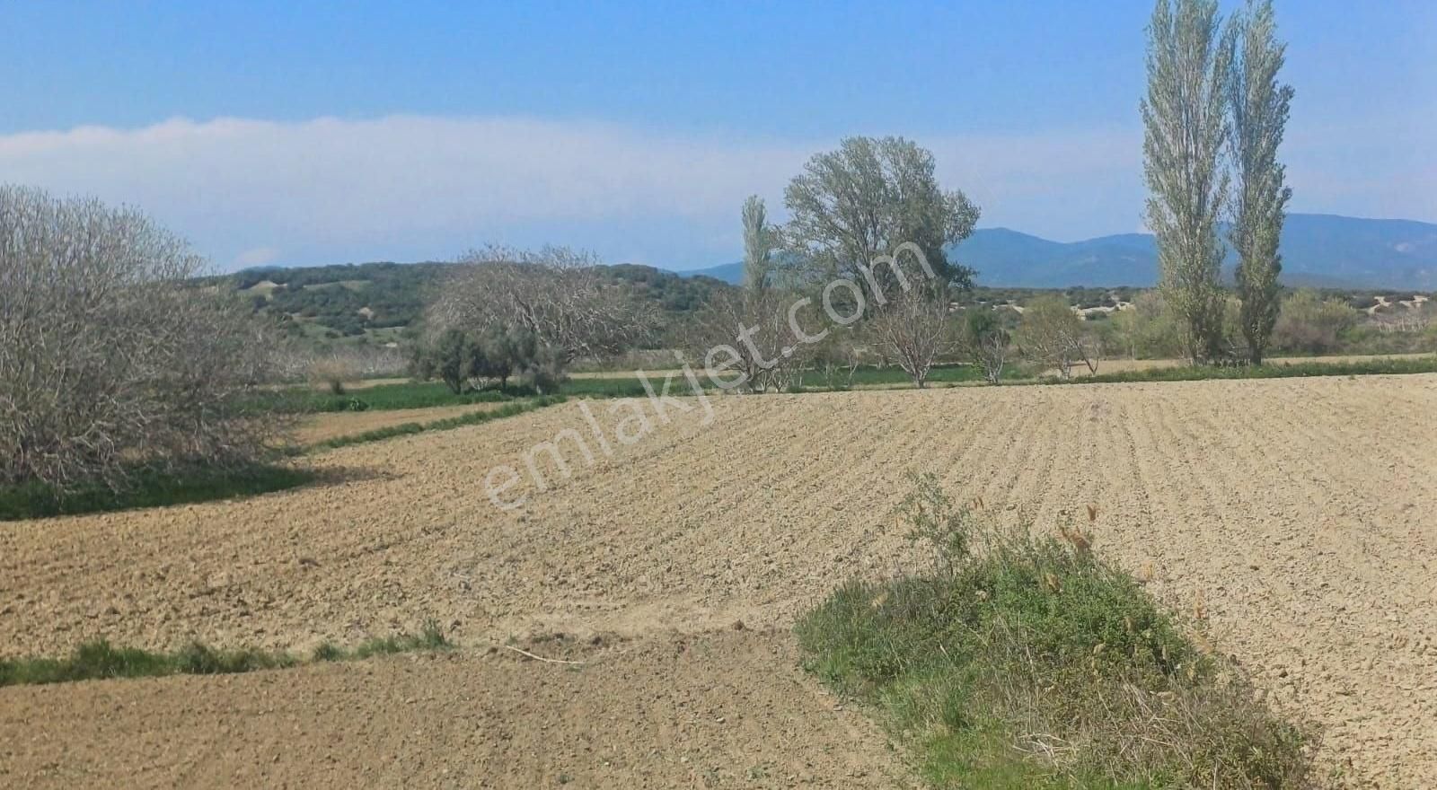 Çanakkale Eceabat Yolağzı Köyünde Yatırımlık Tarım Çiftlik Arazi