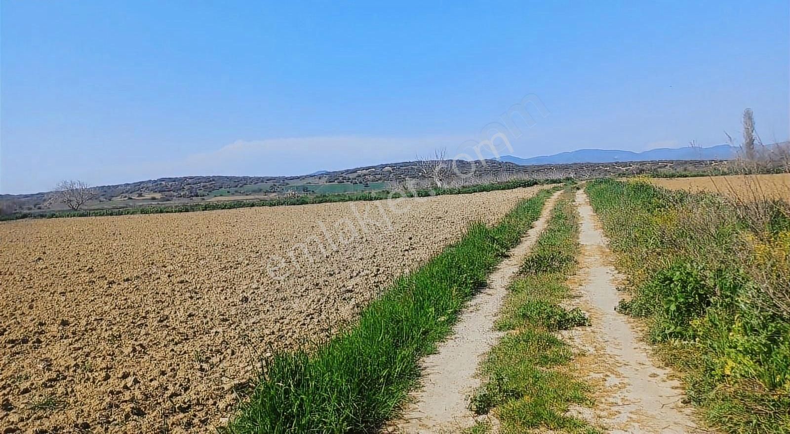 Çanakkale Eceabat Yolağzı Köyünde Yatırımlık Hobi Bahçelik Arazi