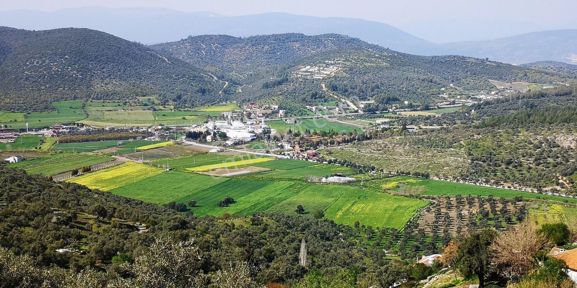 Milas Kemiklerde Doğayla İç İçe 794m² Satılık Konut İmarlı Arsa - Görsel 2