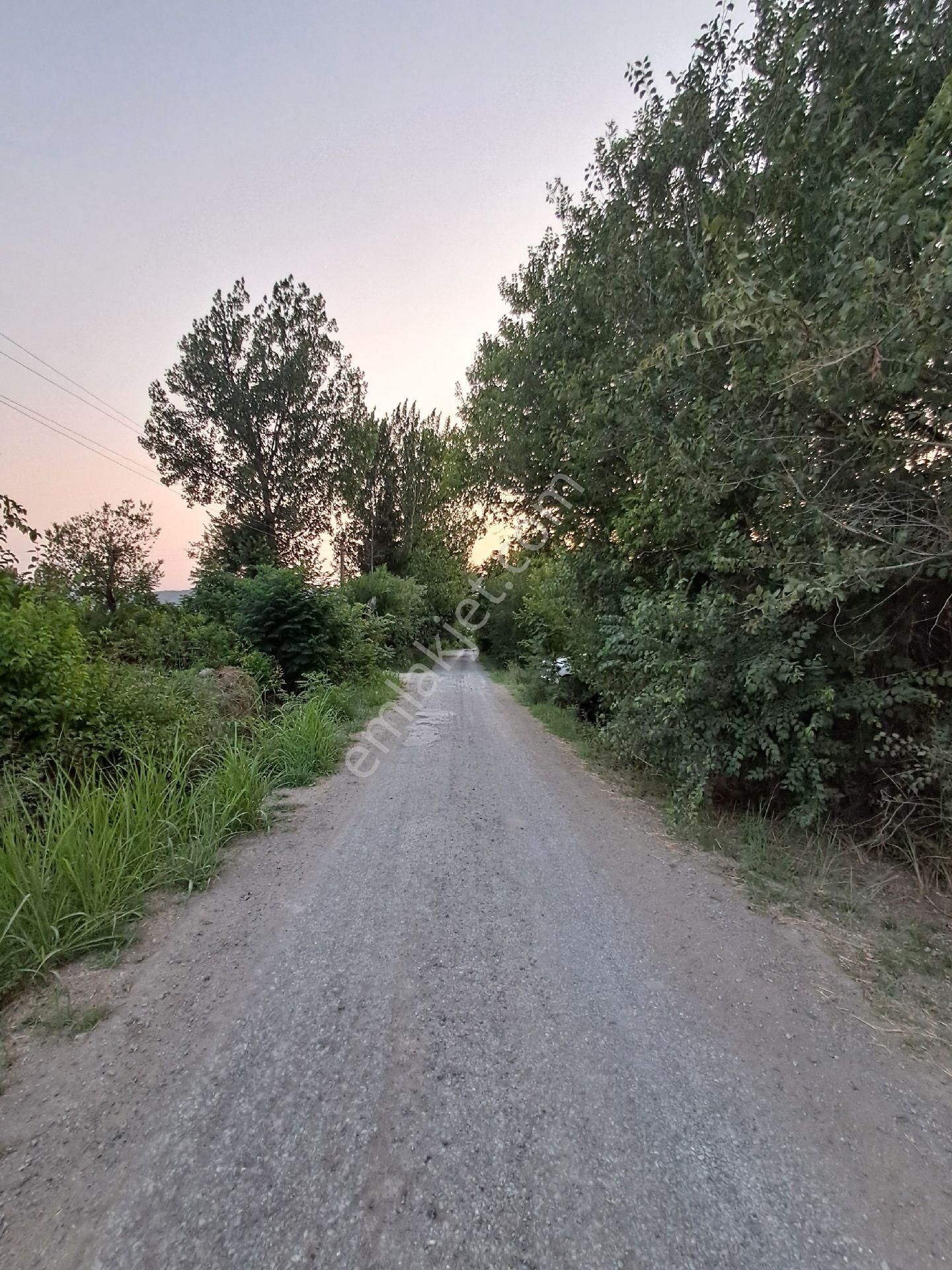 Günaydın Emlak'tan Akıncıda 9600 M2 Tek Tapu Satılık Tarla - Görsel 4