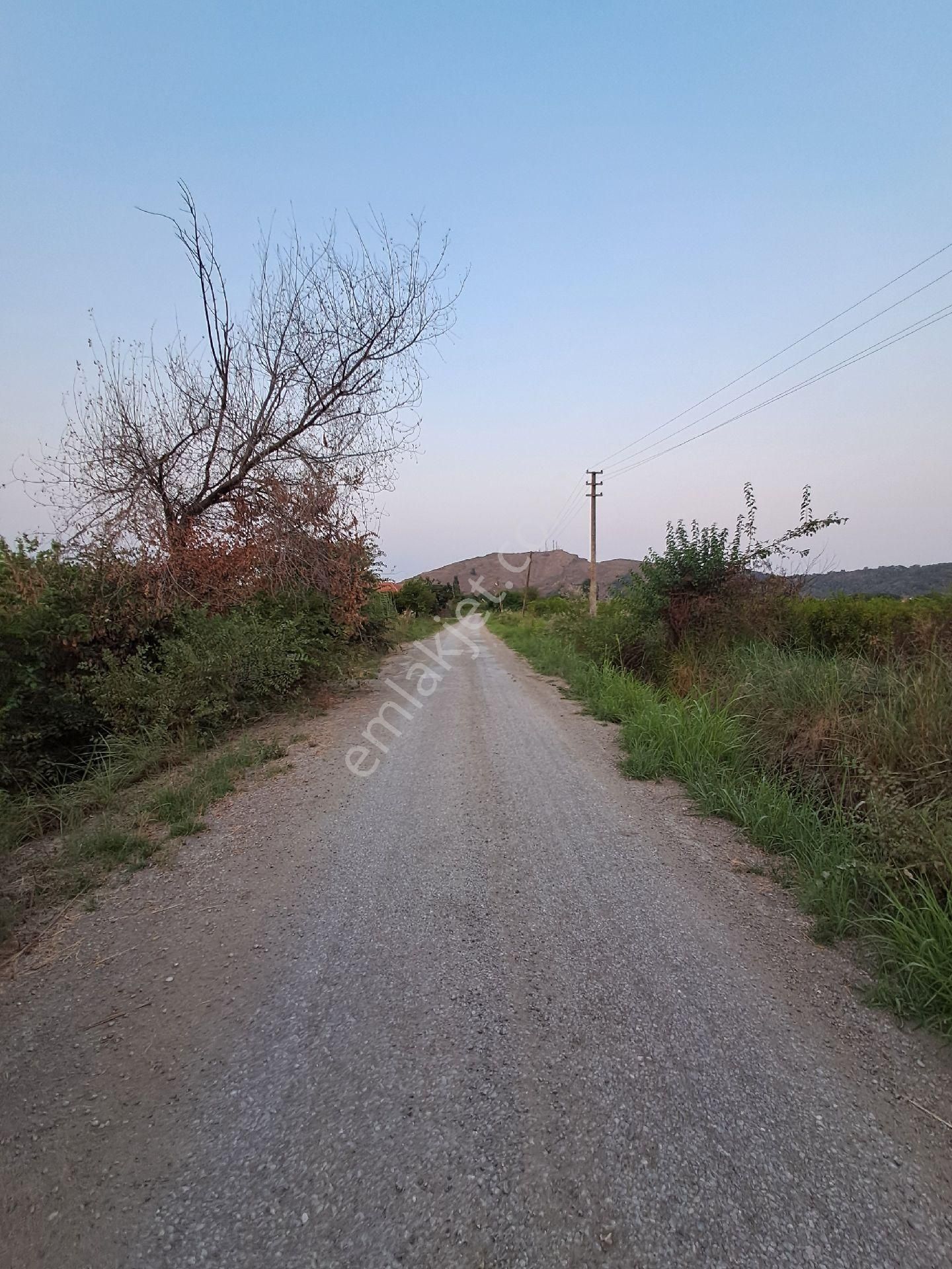 Günaydın Emlak'tan Akıncıda 9600 M2 Tek Tapu Satılık Tarla - Görsel 3