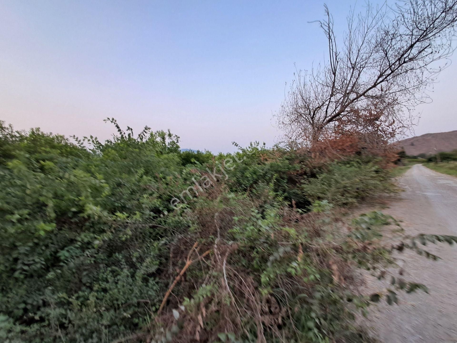 Günaydın Emlak'tan Akıncıda 9600 M2 Tek Tapu Satılık Tarla - Görsel 2