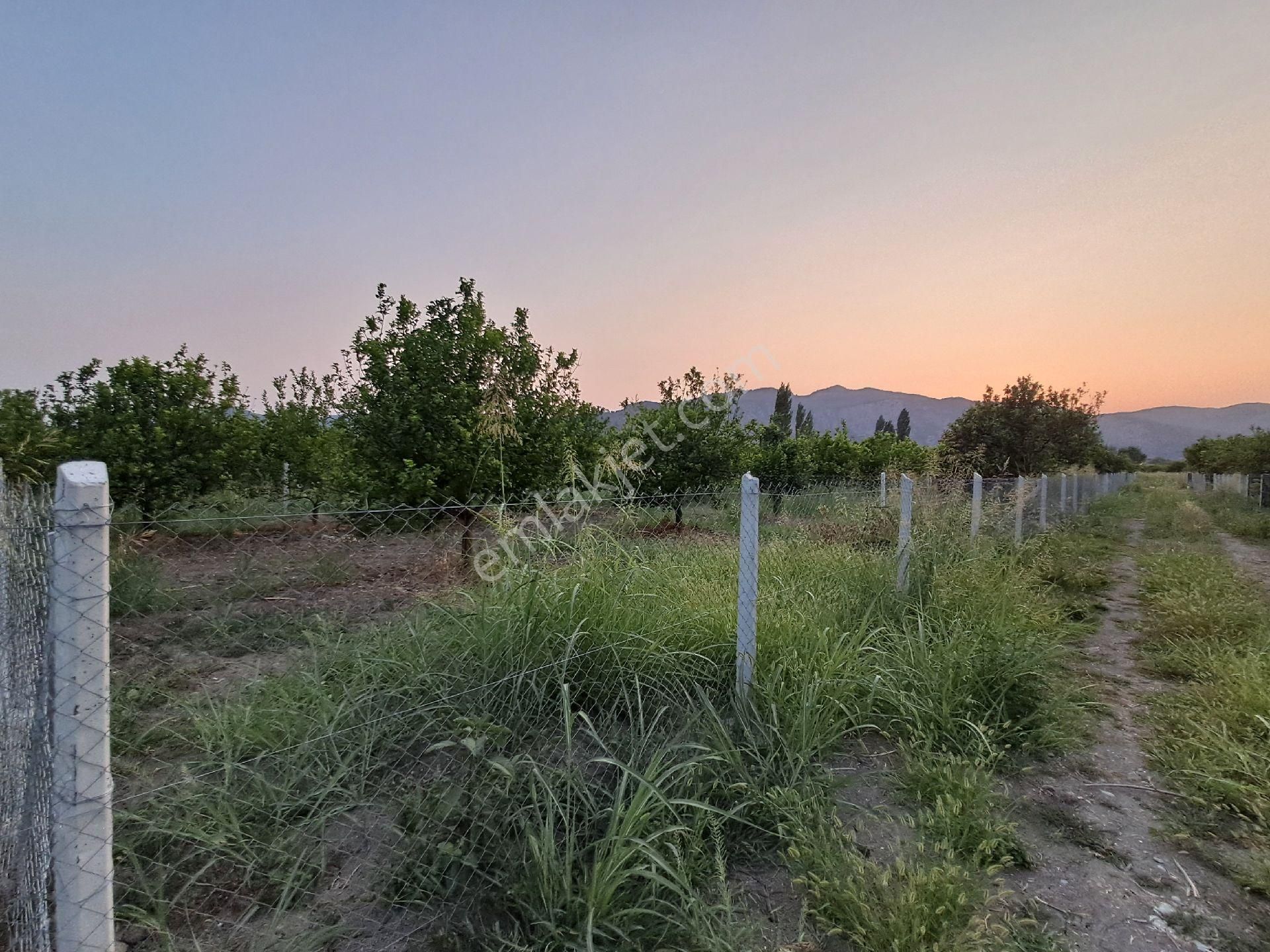 Günaydın Emlak'tan Akıncıda Koparatif Hisseli 273 M2 Satılık Çevrili Tarla