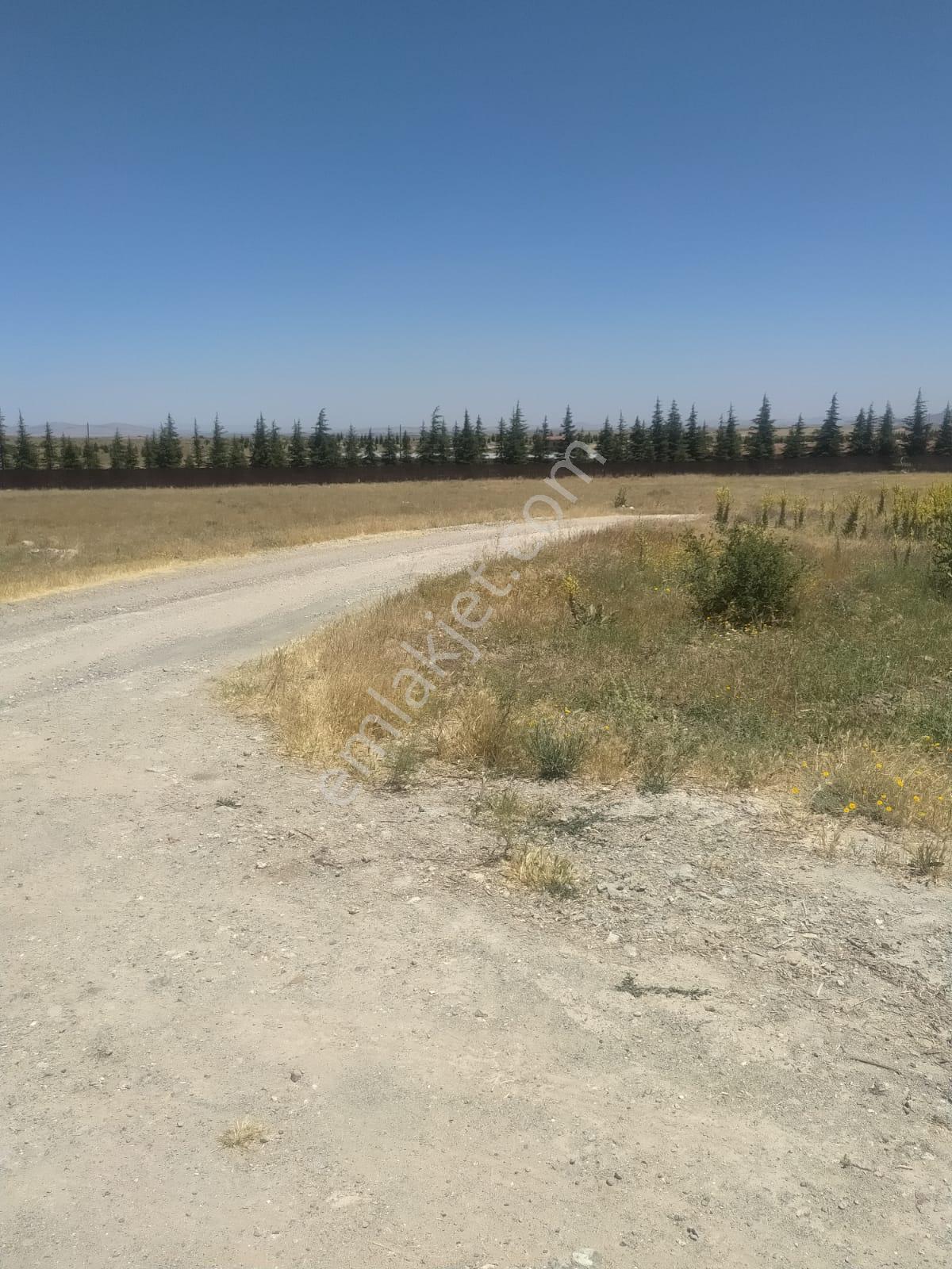 M-88 Taşlıkköy Mahallesi Satılık Çiftlik - Görsel 4