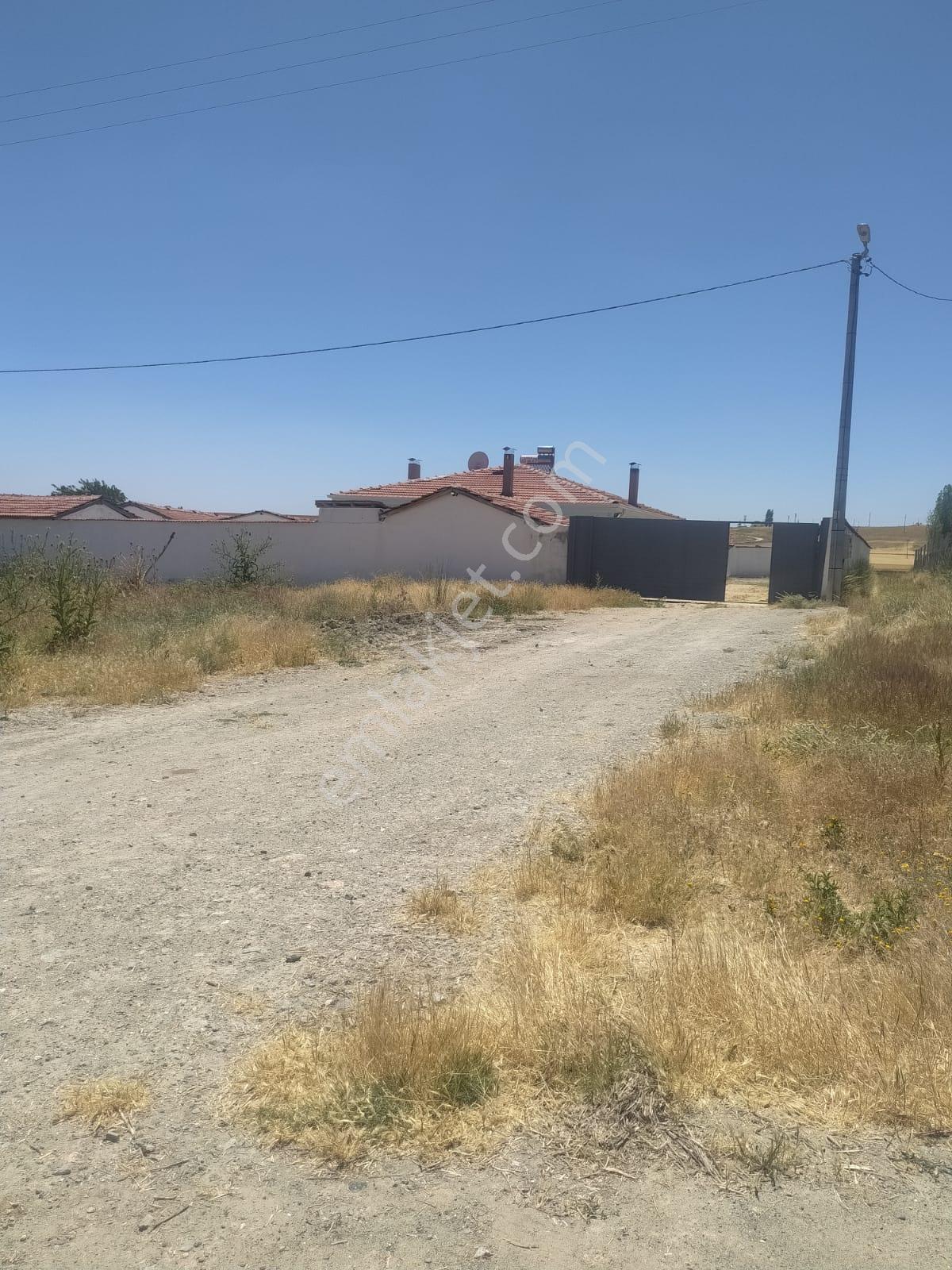 M-88 Taşlıkköy Mahallesi Satılık Çiftlik - Görsel 3