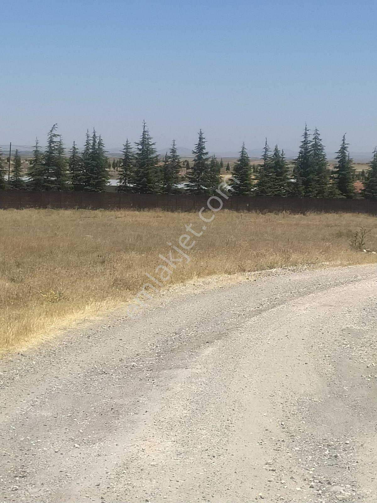 M-88 Taşlıkköy Mahallesi Satılık Çiftlik - Görsel 5