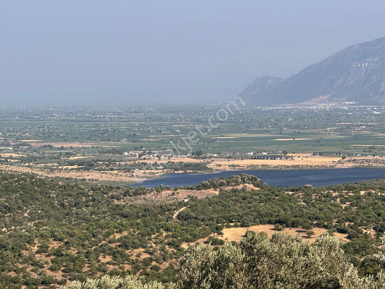 Çamlıca Da 10.000 M2 Tarla , Asfalta Sıfır
