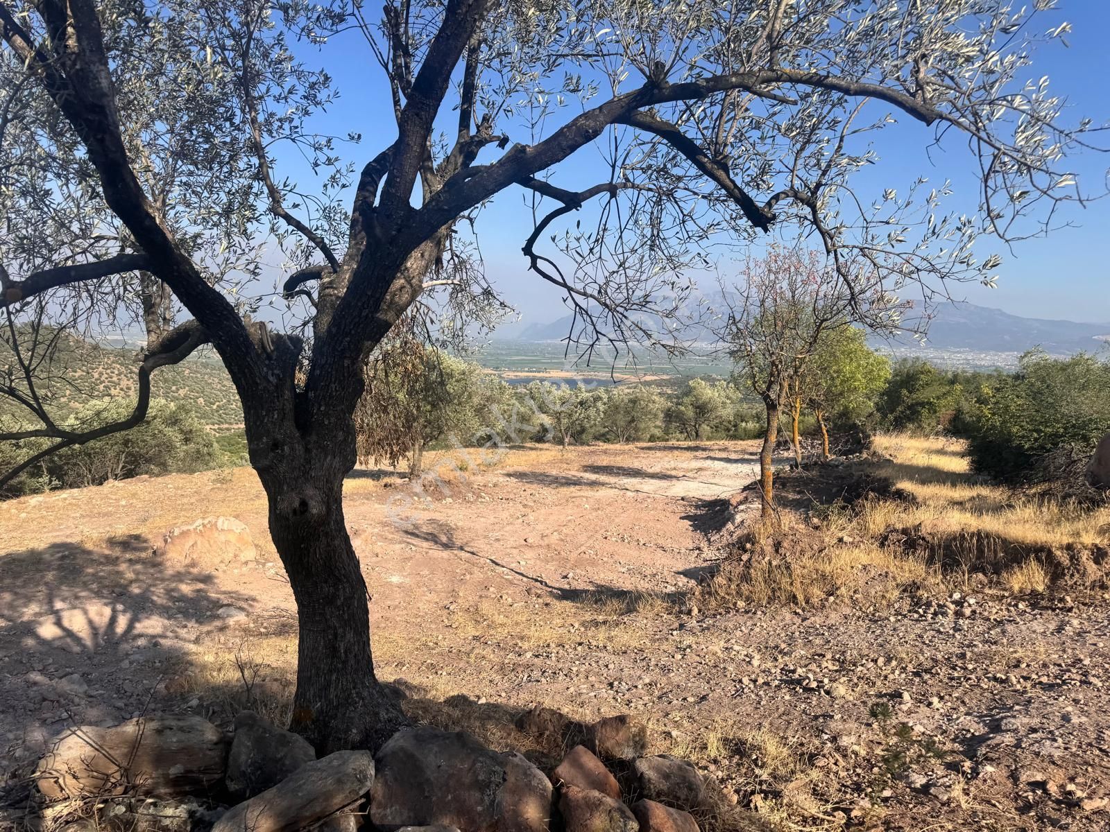 Çamlıca Da 10.000 M2 Tarla , Asfalta Sıfır - Görsel 28