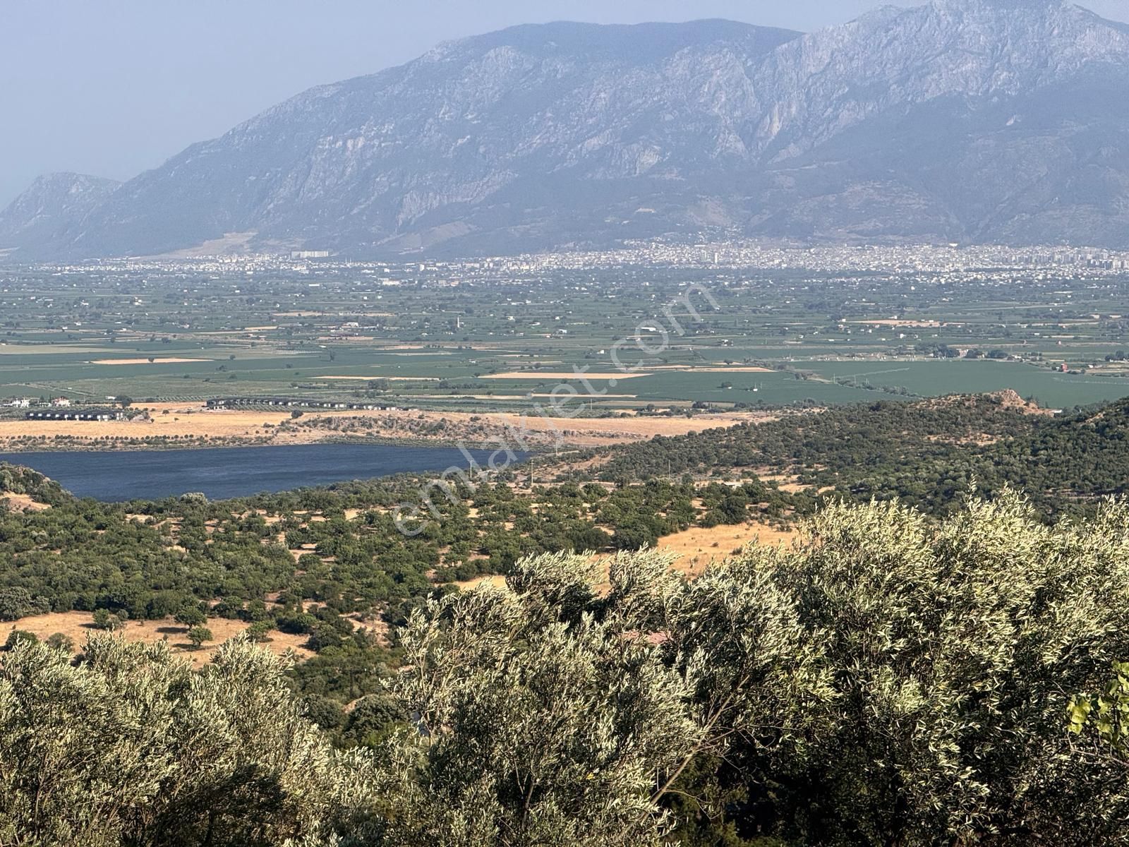 Çamlıca Da 10.000 M2 Tarla , Asfalta Sıfır - Görsel 7