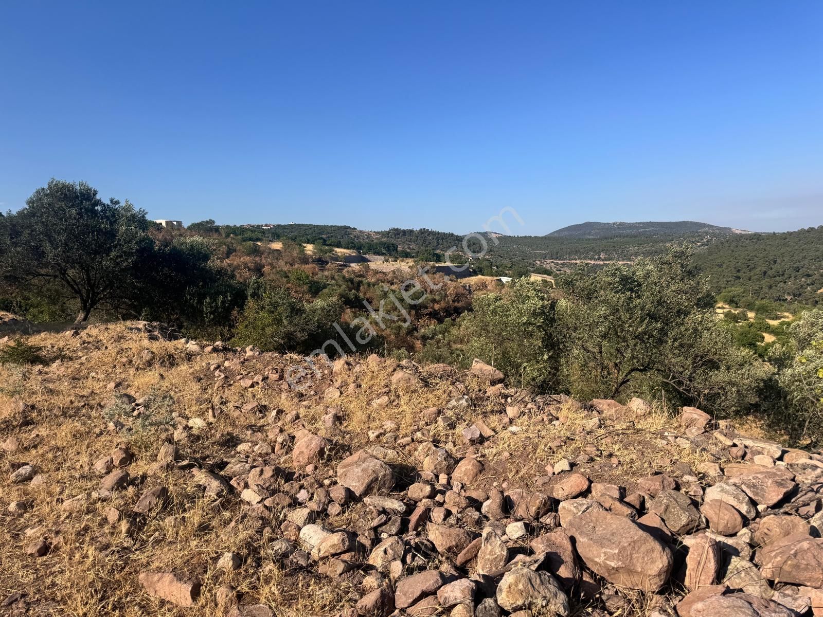 Çamlıca Da 10.000 M2 Tarla , Asfalta Sıfır - Görsel 5
