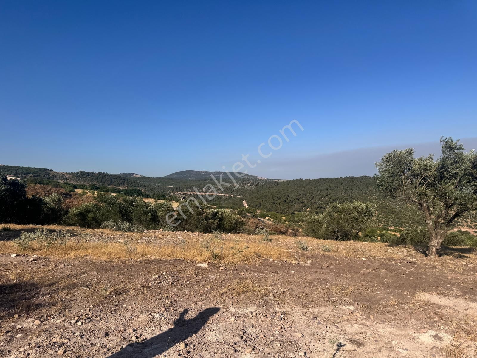 Çamlıca Da 10.000 M2 Tarla , Asfalta Sıfır - Görsel 23