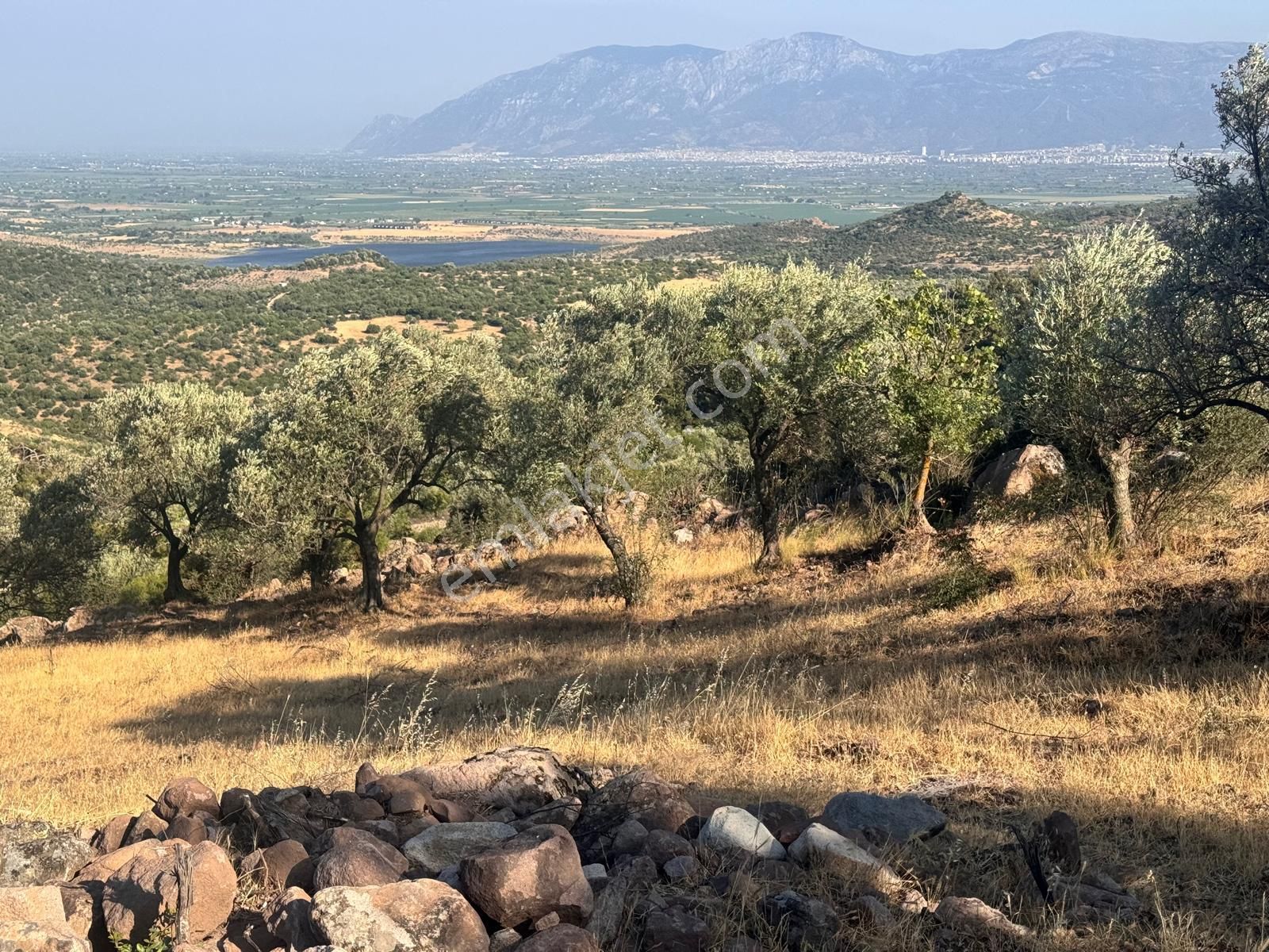 Çamlıca Da 10.000 M2 Tarla , Asfalta Sıfır - Görsel 9