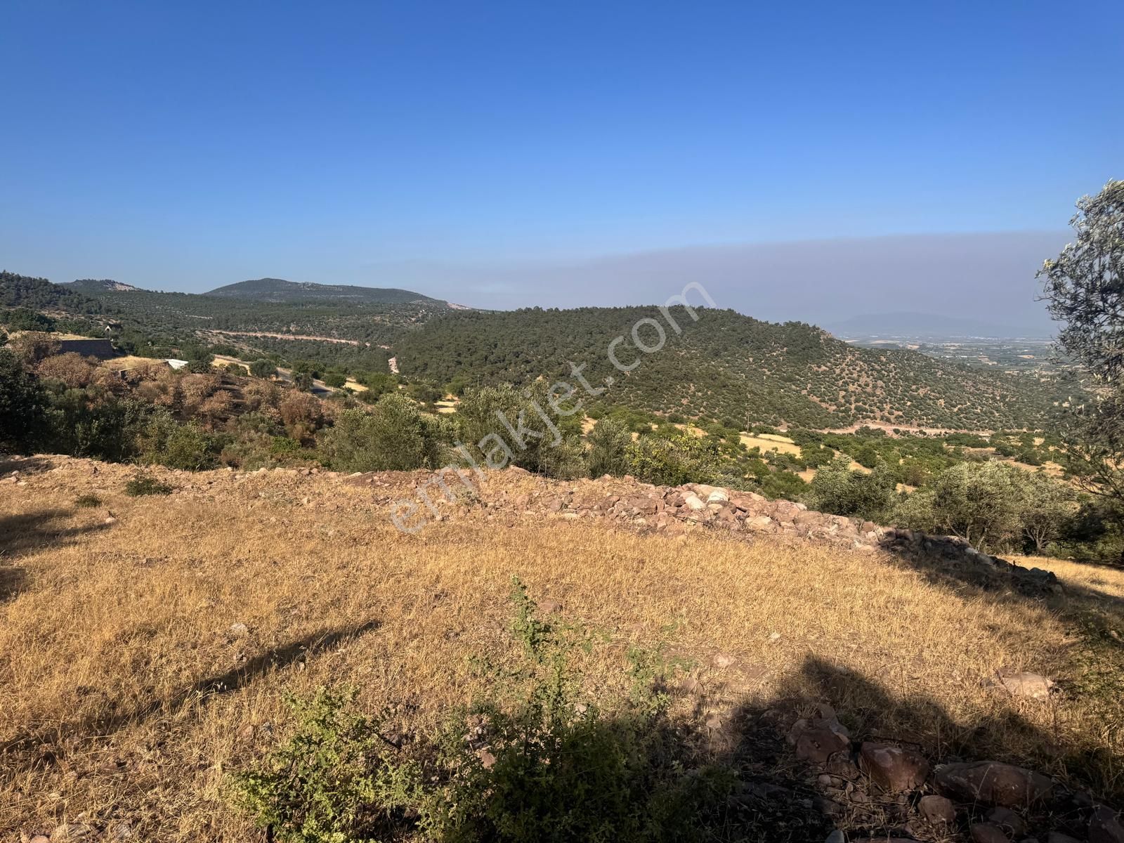 Çamlıca Da 10.000 M2 Tarla , Asfalta Sıfır - Görsel 14