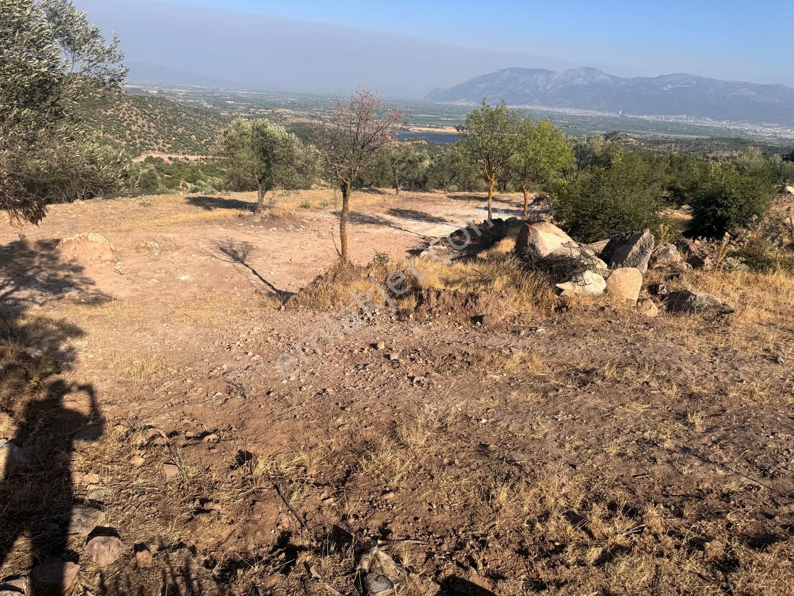 Çamlıca Da 10.000 M2 Tarla , Asfalta Sıfır - Görsel 32
