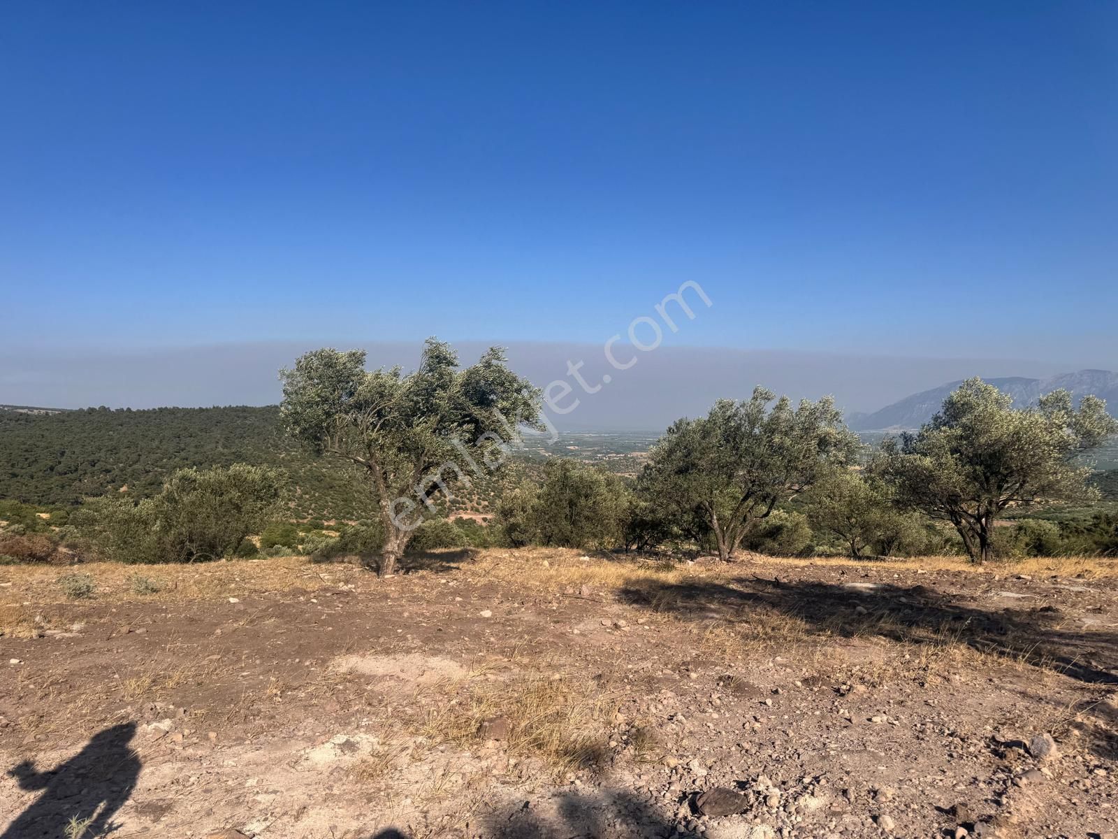 Çamlıca Da 10.000 M2 Tarla , Asfalta Sıfır - Görsel 26