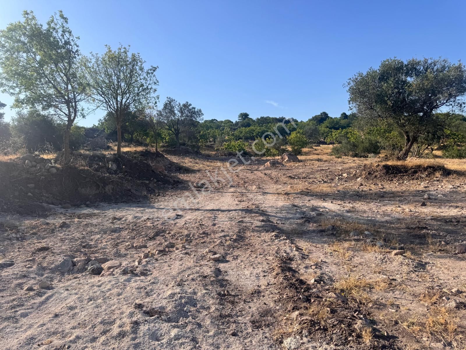 Çamlıca Da 10.000 M2 Tarla , Asfalta Sıfır - Görsel 22