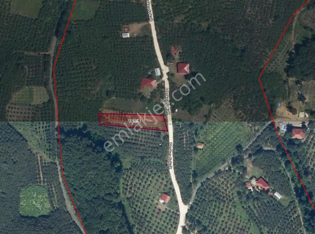Samsun Çarşamba Selimiye'de Satılık Tek Tapu Tarla