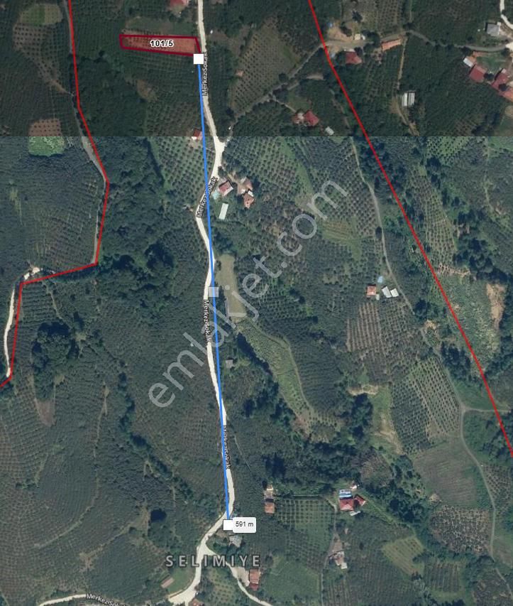 Samsun Çarşamba Selimiye'de Satılık Tek Tapu Tarla - Görsel 2