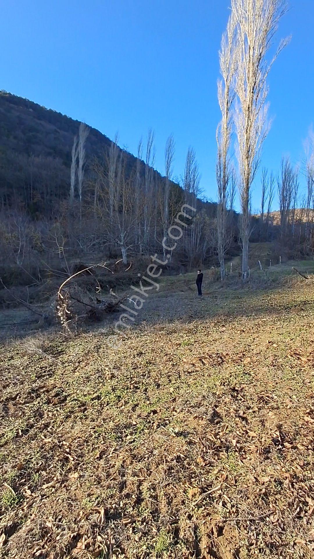 Karacaören Köyü Mustakil Parsel 1.134m2 Hobi Bahçesi Yapılabilir - Görsel 2
